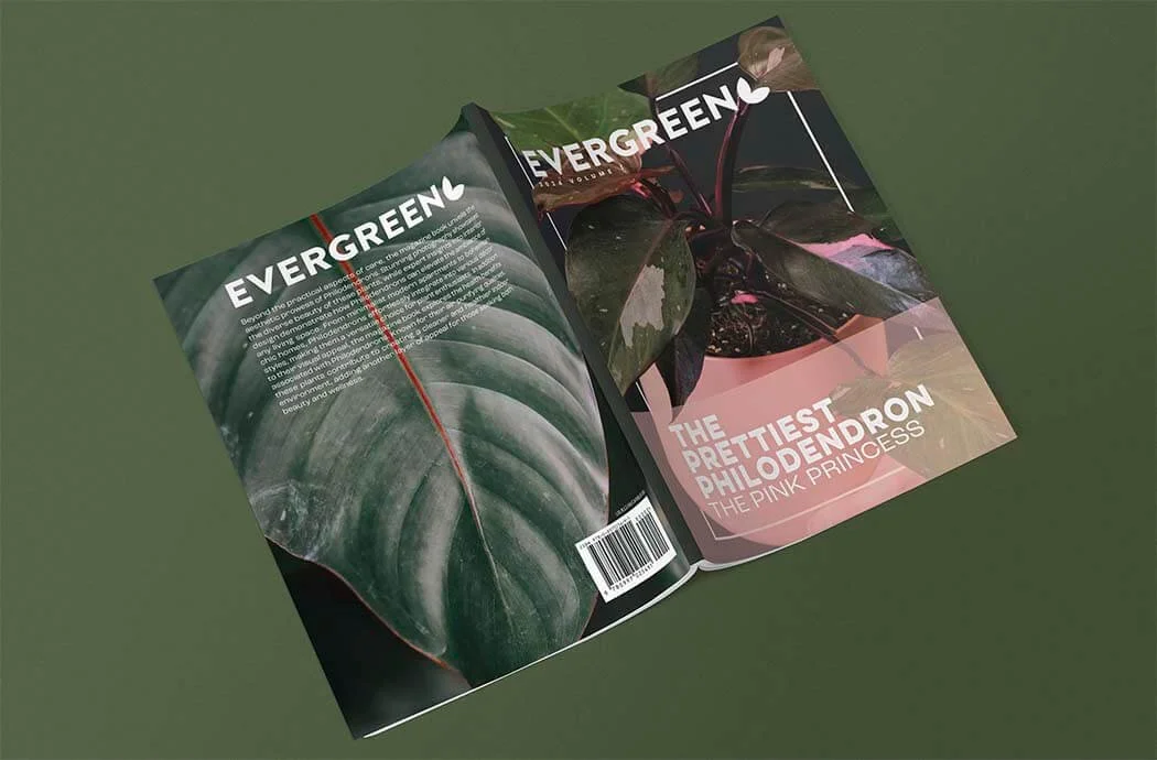 Philodendron Magazine