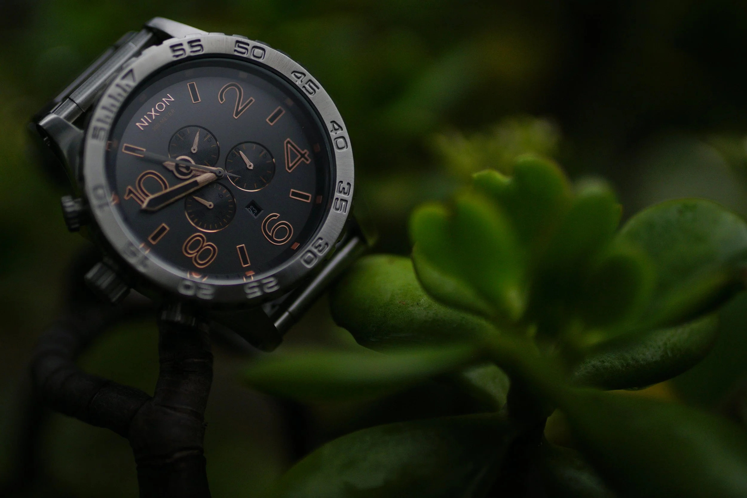 Close-up of Nixon wristwatch with black dial and orange accents, resting on green succulent plant leaves.