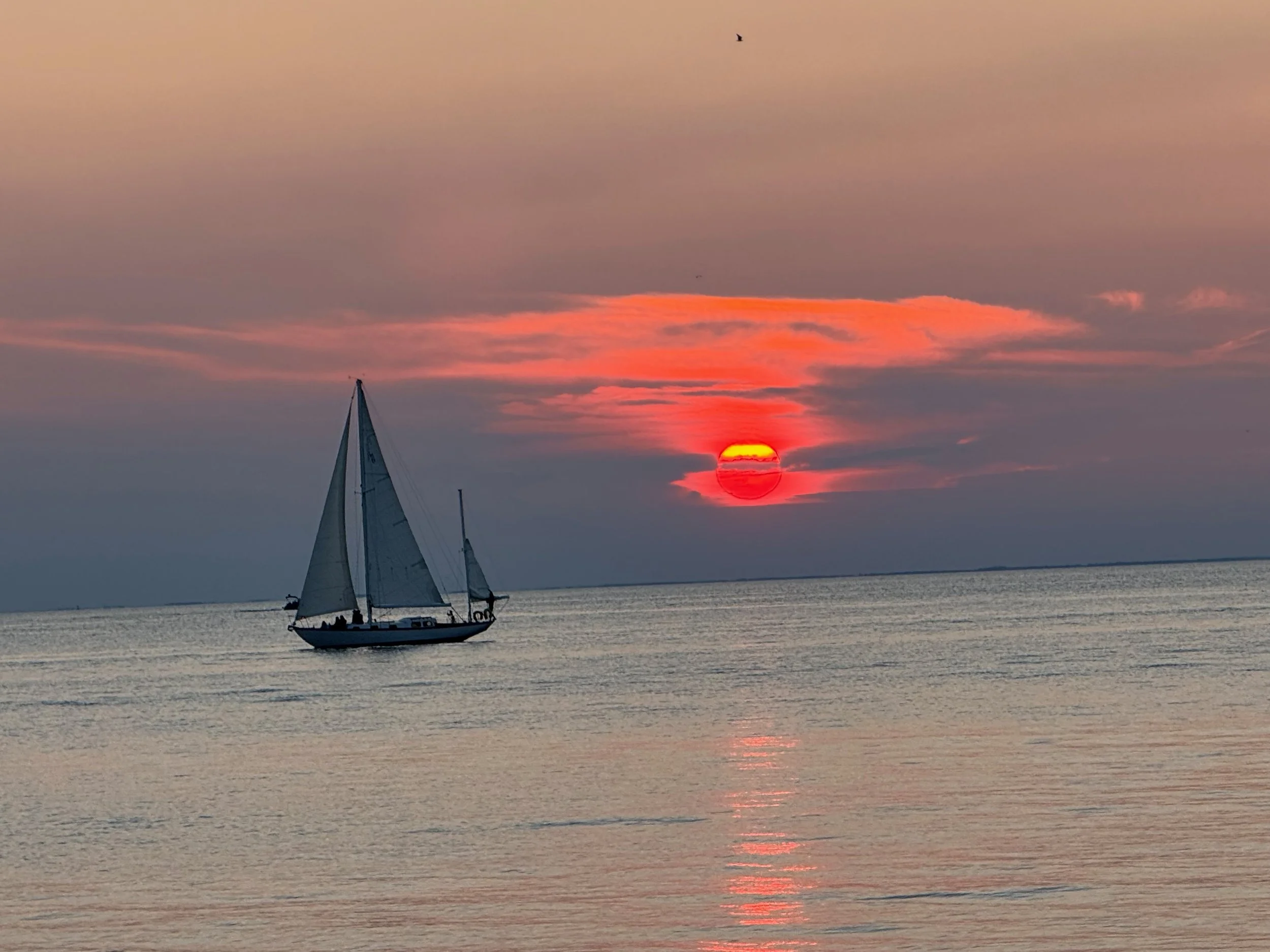 Coping with Overwhelming Distress