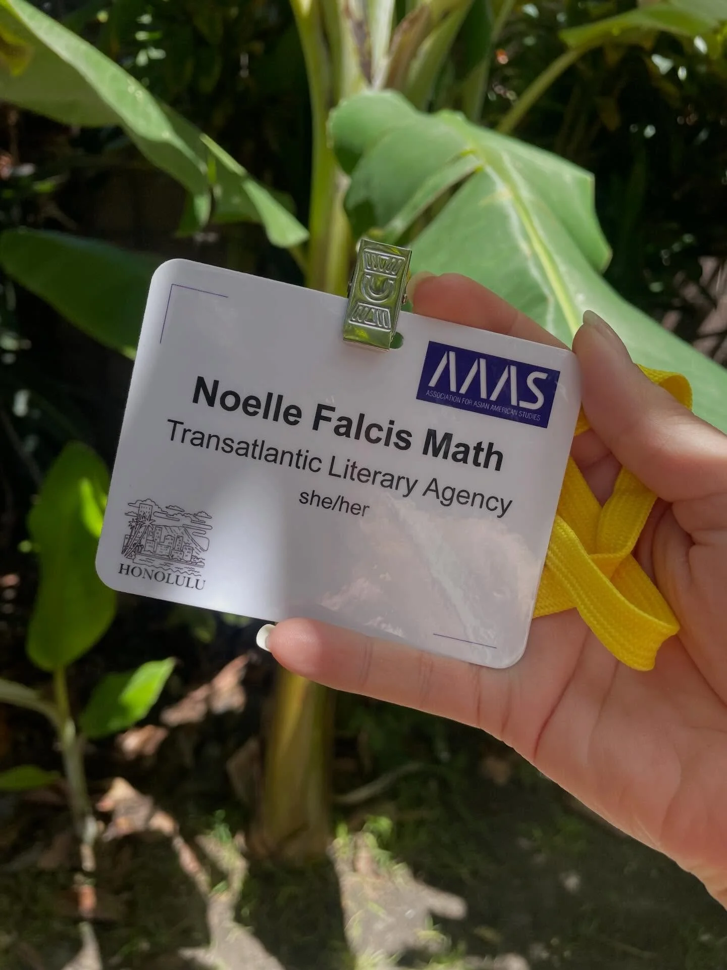 &amp; then we were back 🩵

what a time to experience AAAS on the islands. i left this conference with so much to consider and chew upon. so many panels challenged and presented me with such timely and valuable meditations. the presentation at @thebo