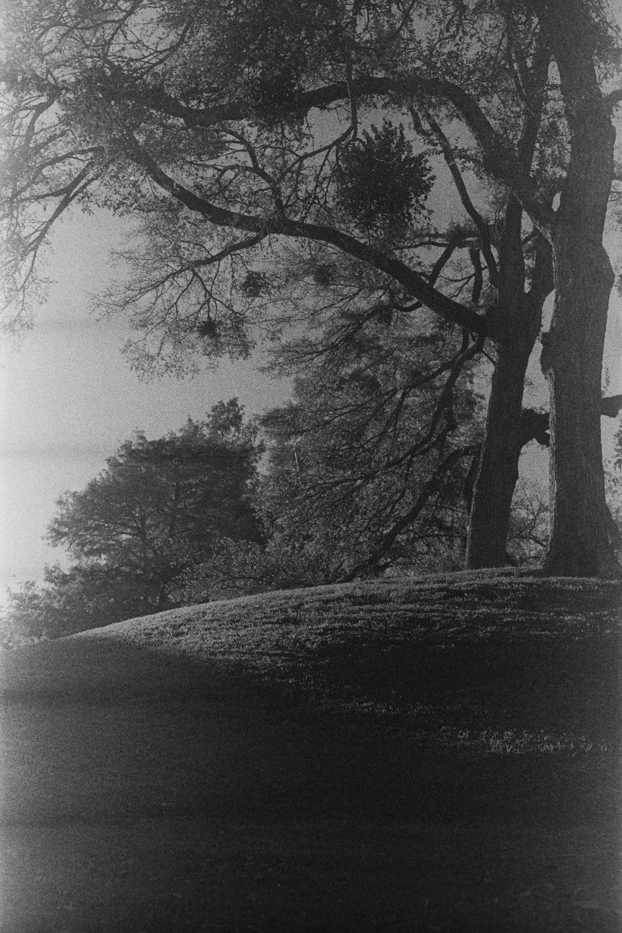 Studio Session-093.png