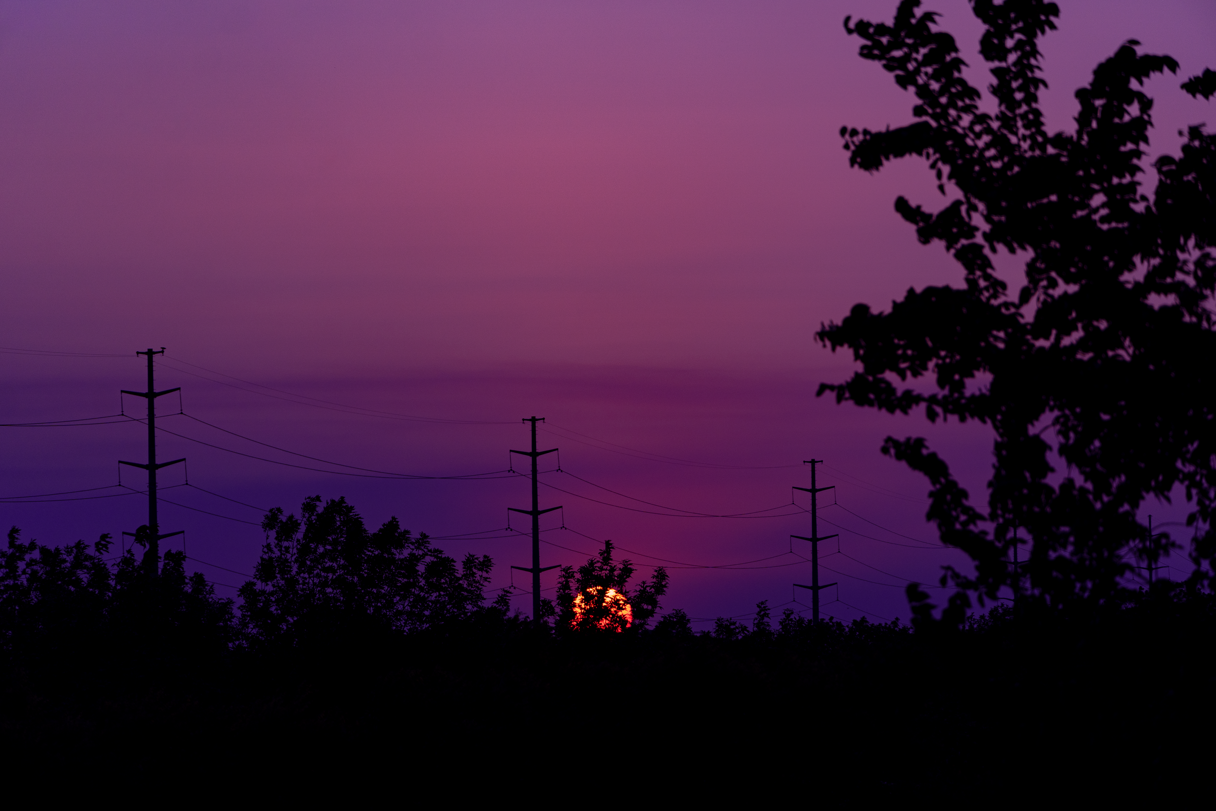 _DSC8974.png