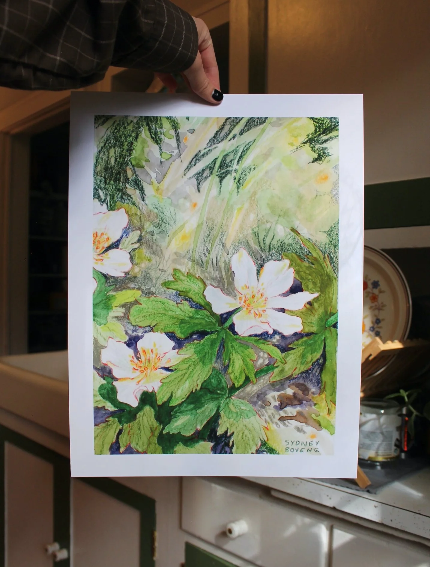 forest floor fig1 print A.JPG