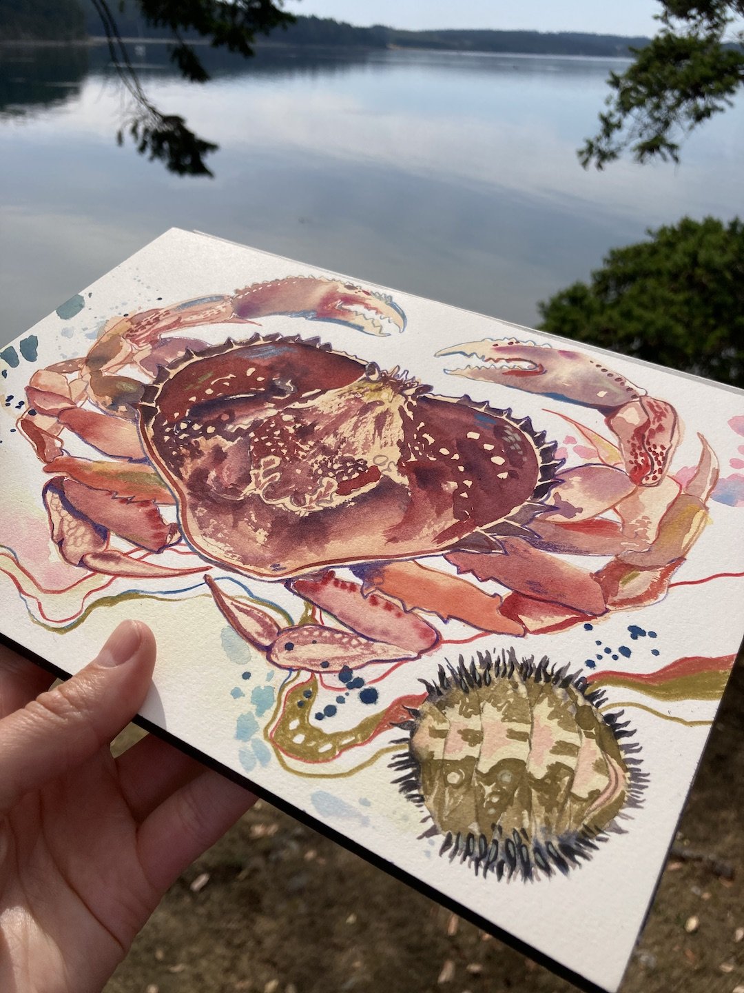 dungeness crab painting photo.JPG