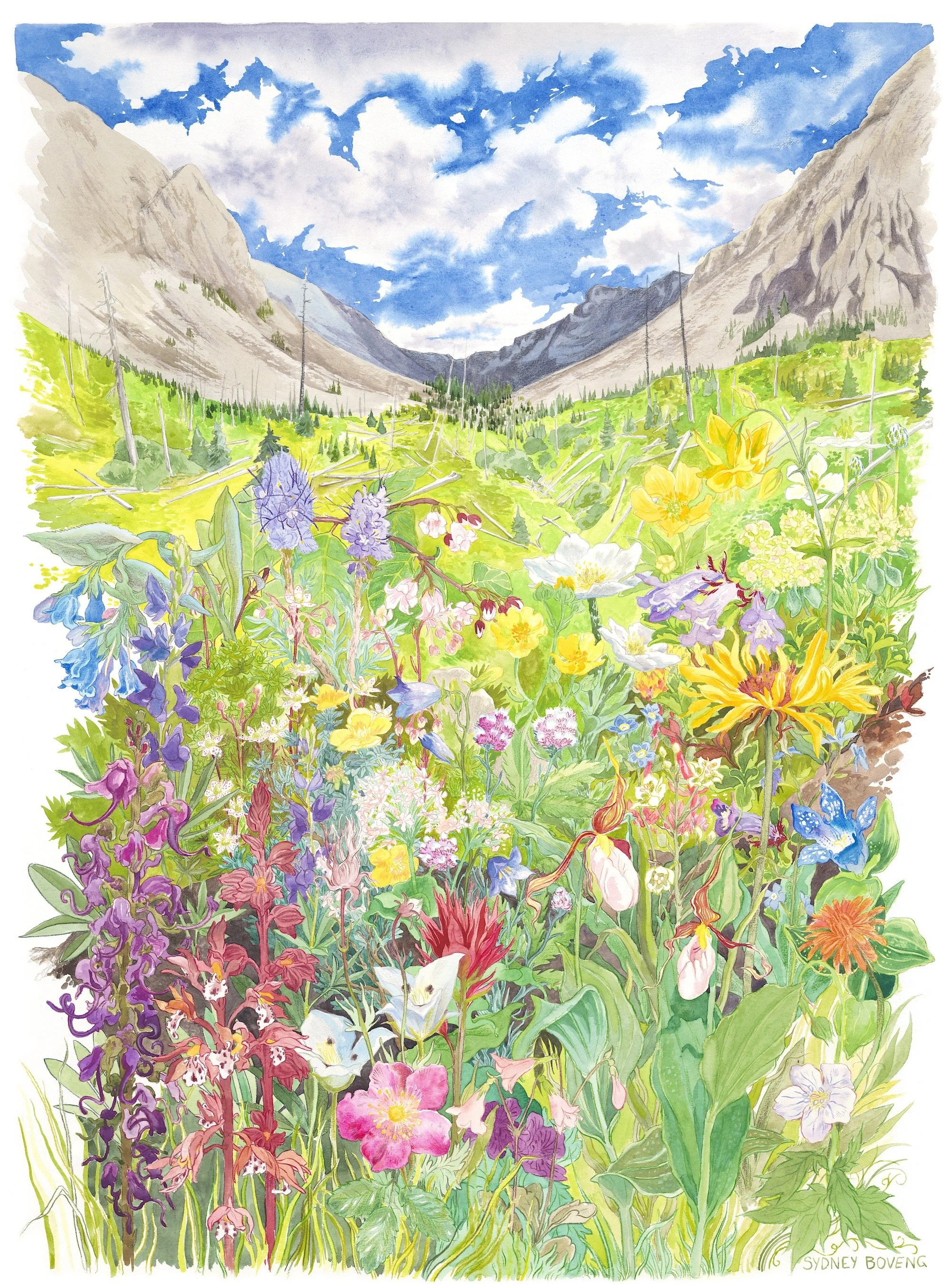 Wilderness Wildflowers, 2026 ✹ 18" x 24" ✹ Mixed Media on Paper