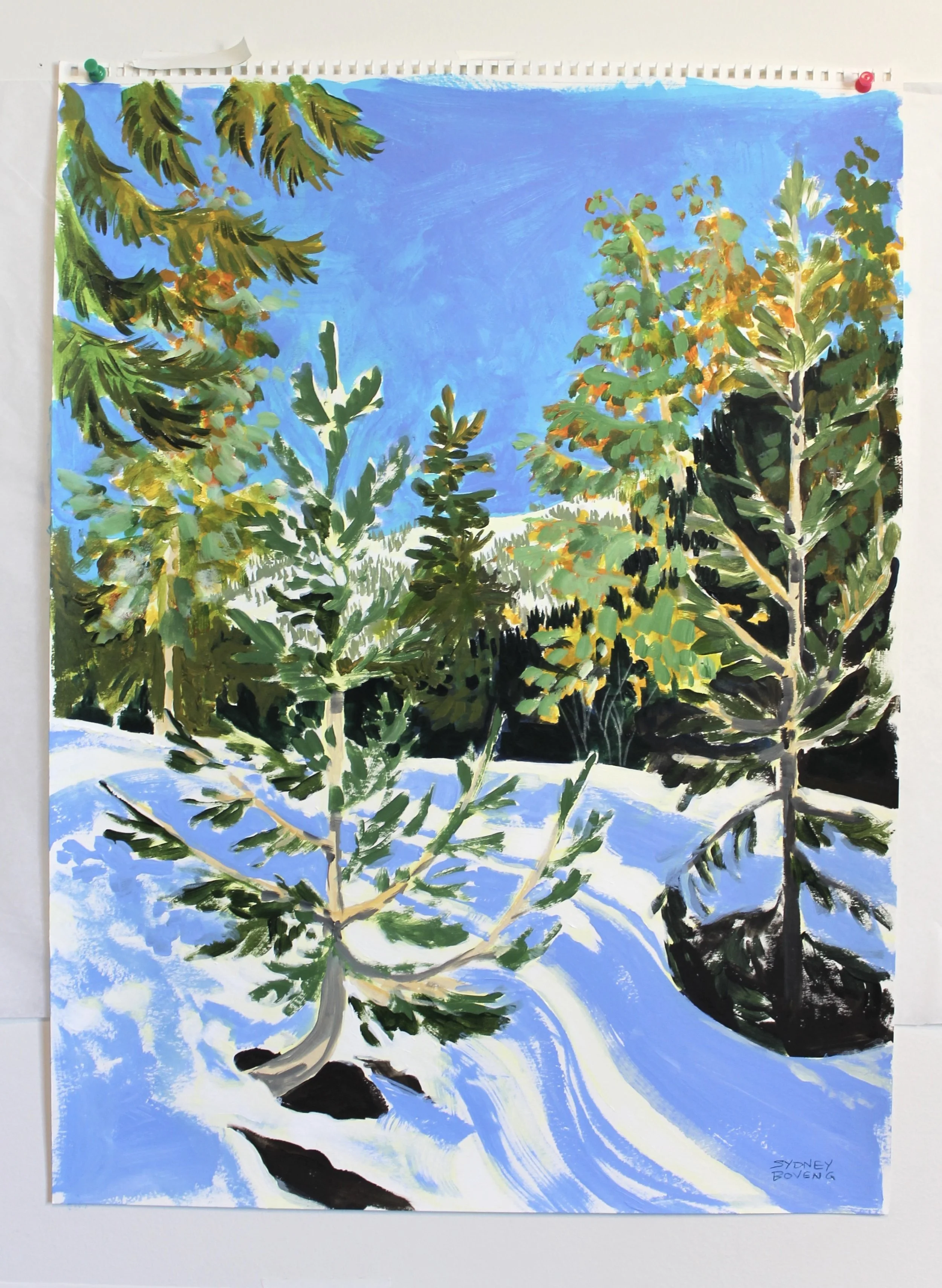 Sun Stripes at Big Mountain- Original painting