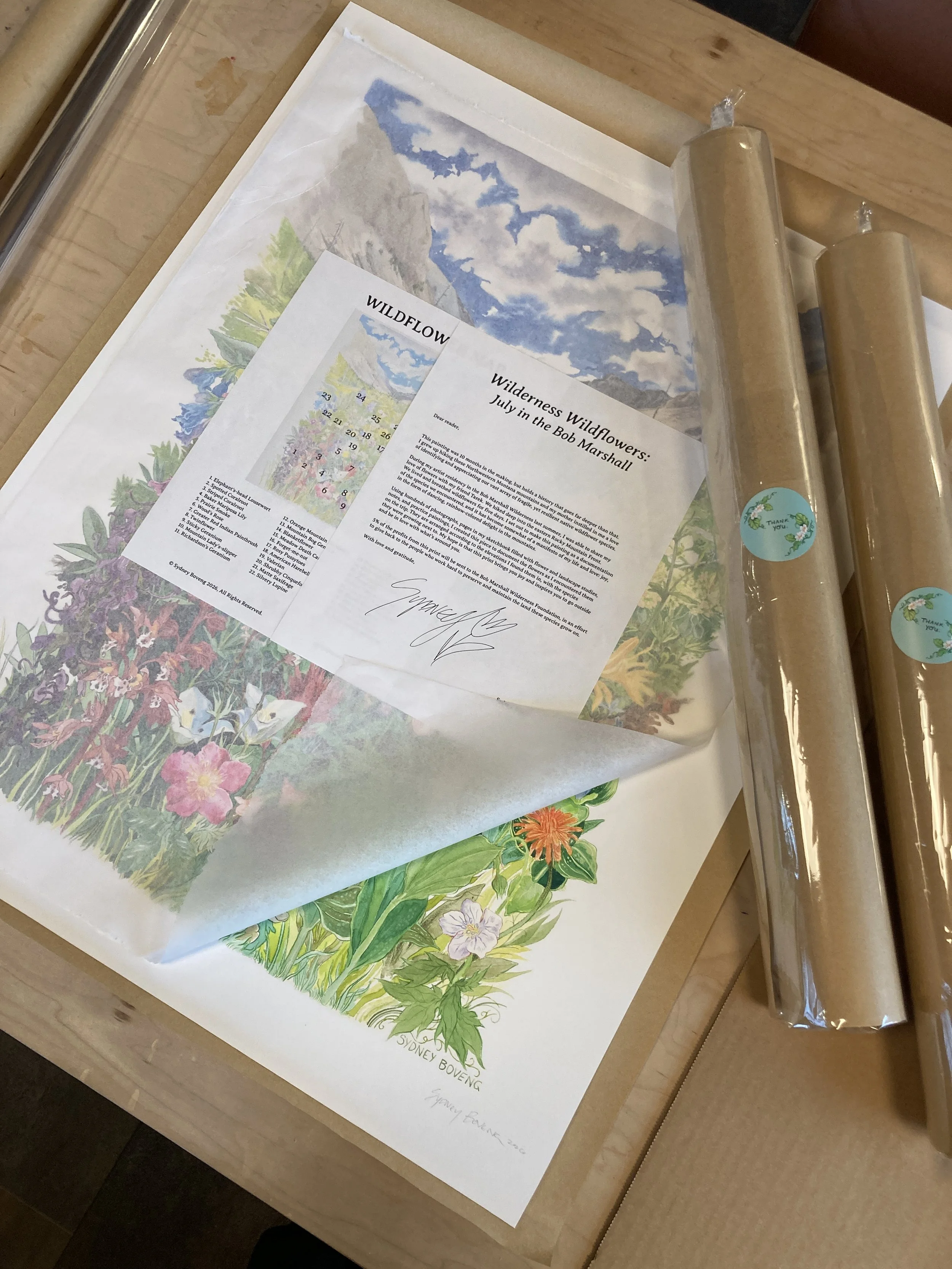 packaged preorder wildflowers.JPG