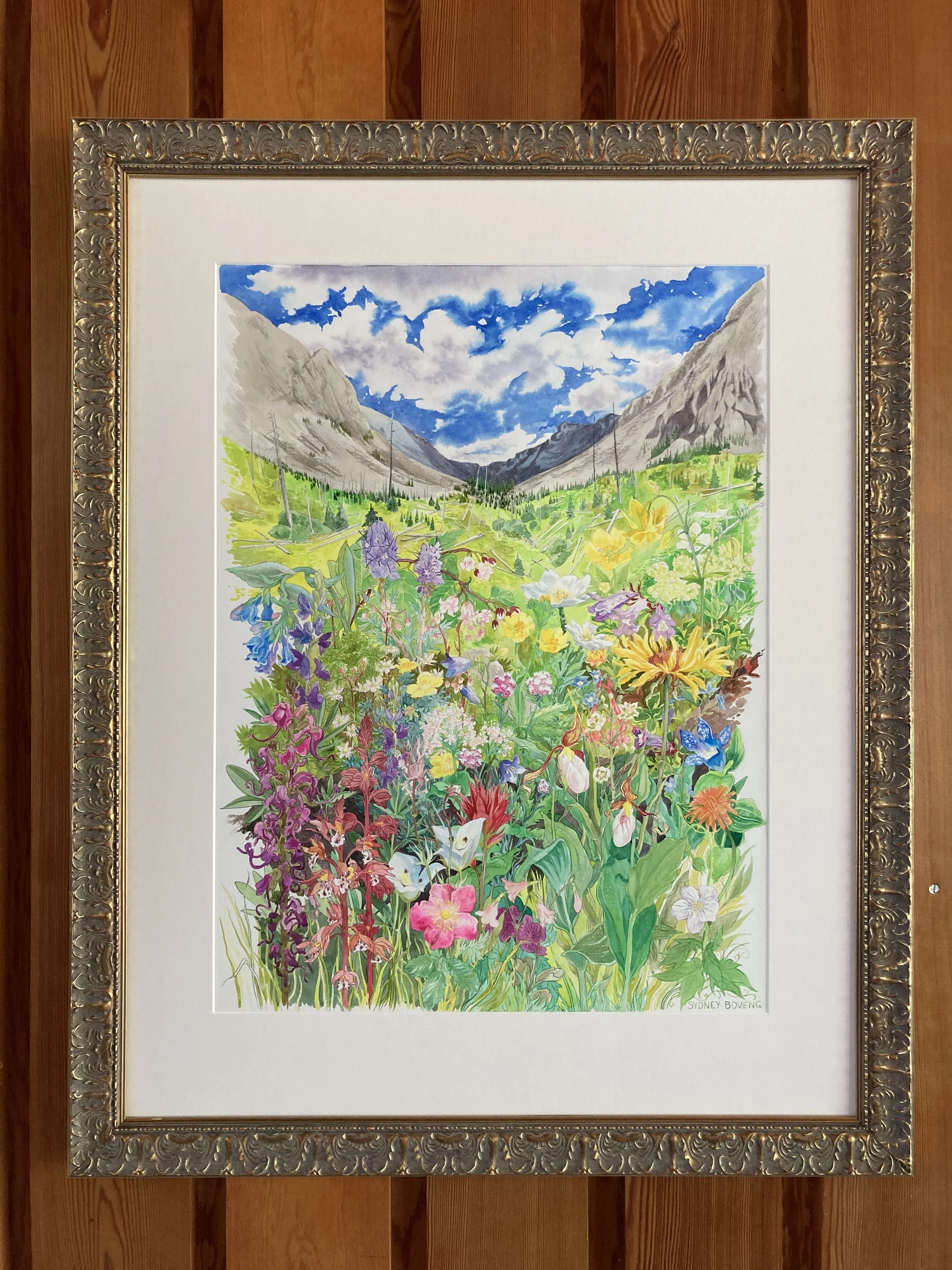 wilderness wildflowers framed original.JPG
