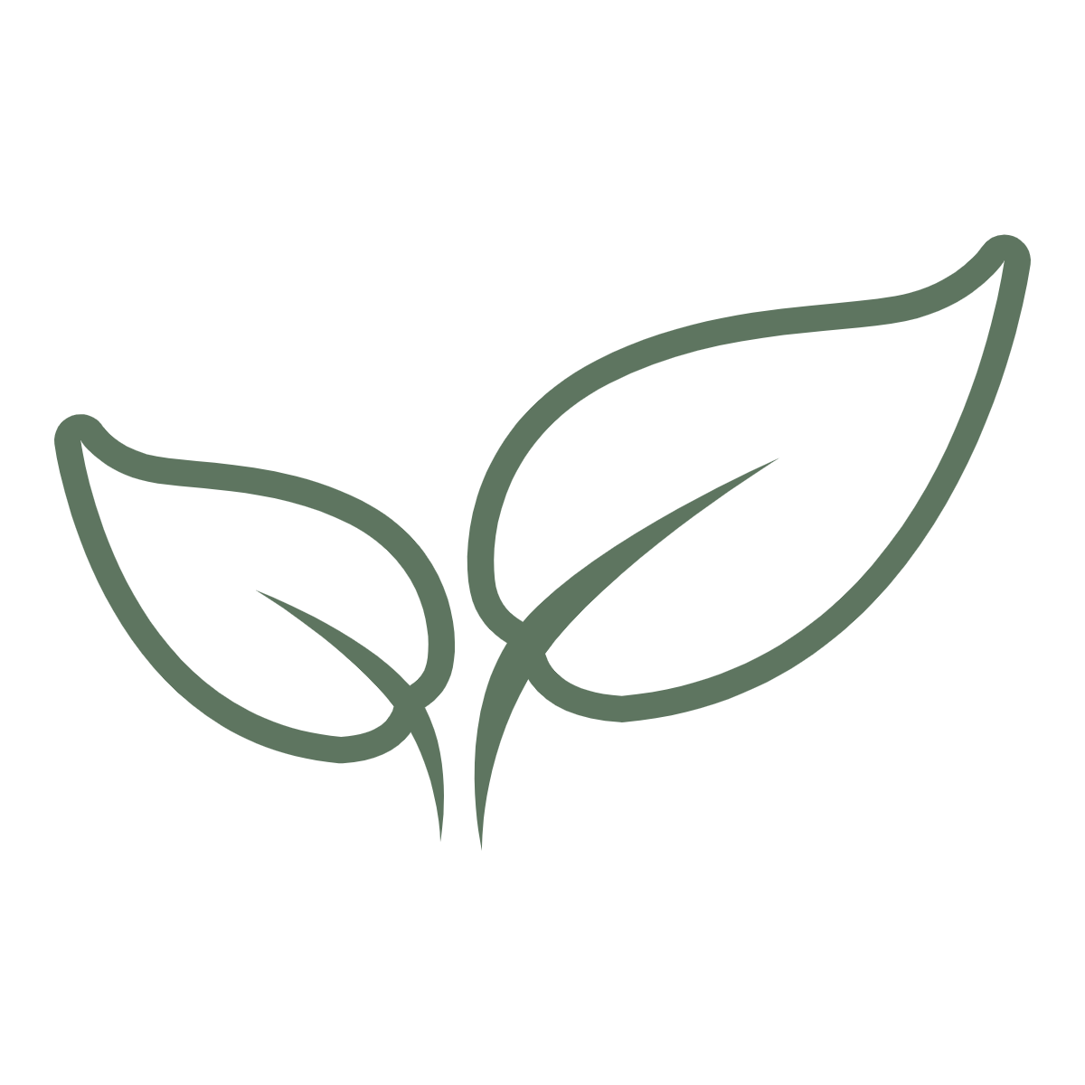 Simple line drawing of two green leaves.