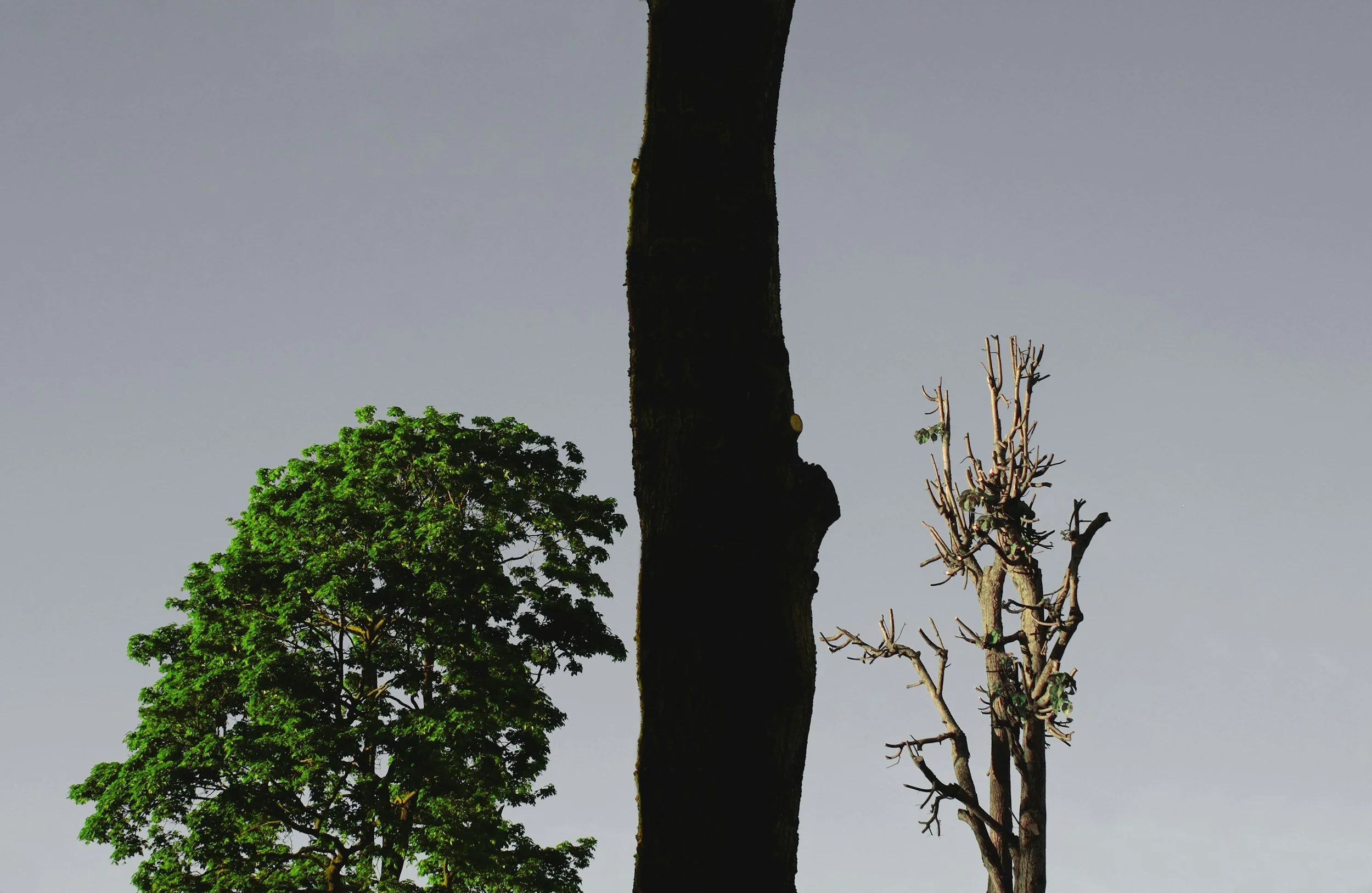 Comparison showing the physical toll of pushing through versus honoring rest