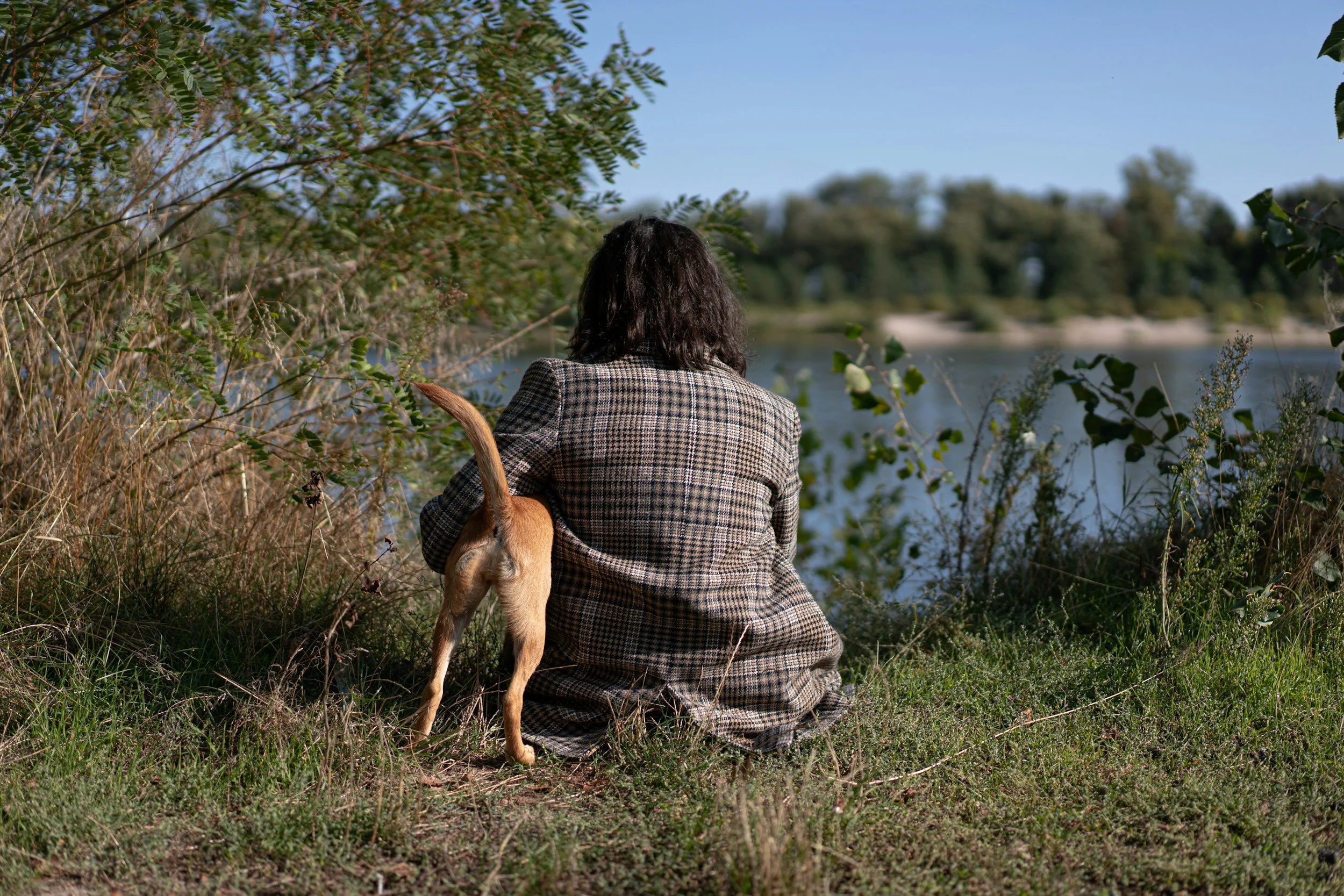 Person sitting peacefully with dog in open field, representing nervous system safety and a new approach to chronic pain recovery