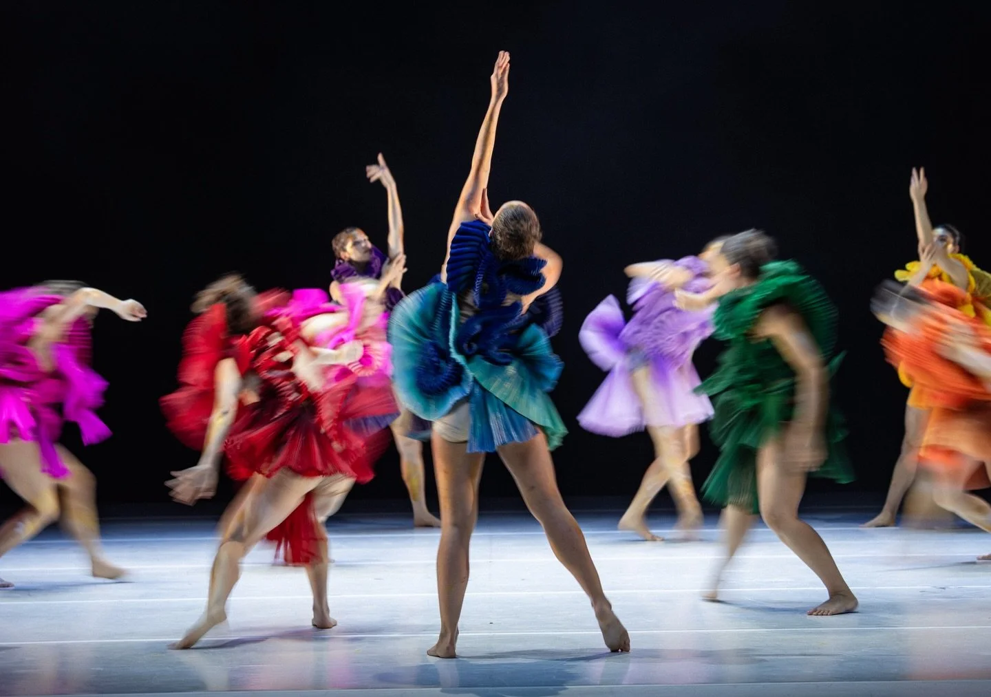 Production photos of Flora, the new dance collaboration between @ausballet and @bangarradancetheatre choreographed by Frances Rings. 

I&rsquo;ve worked a lot with both companies separately, so it was a thrill to see them coming together like this. A