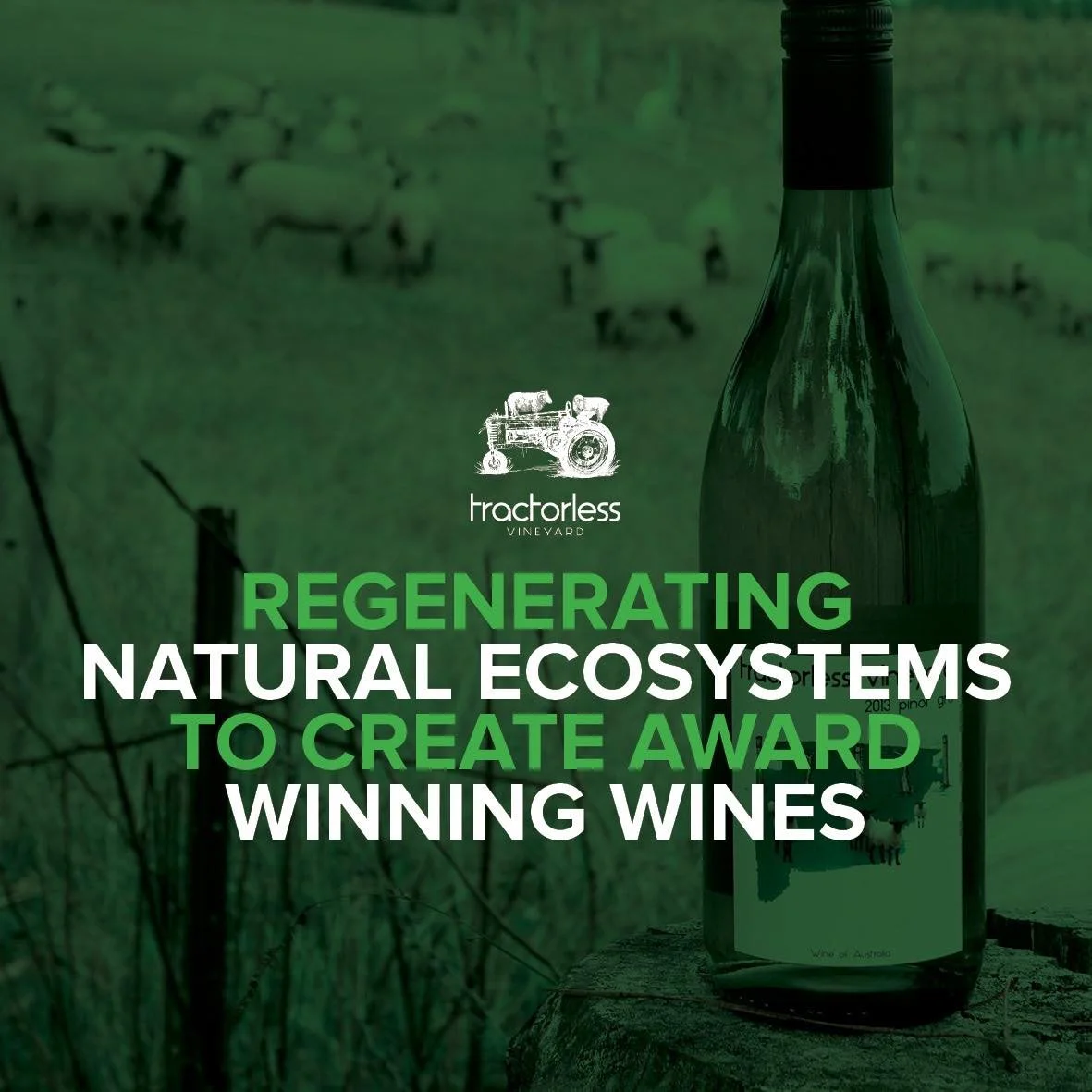 Nature always does it better that’s why we work at re establishing natural agricultural ecosystems to run our vineyards so we can continue to create sustainable award winning wines.
#paddocktoplate #sustainability #regenerativefarming #localpr