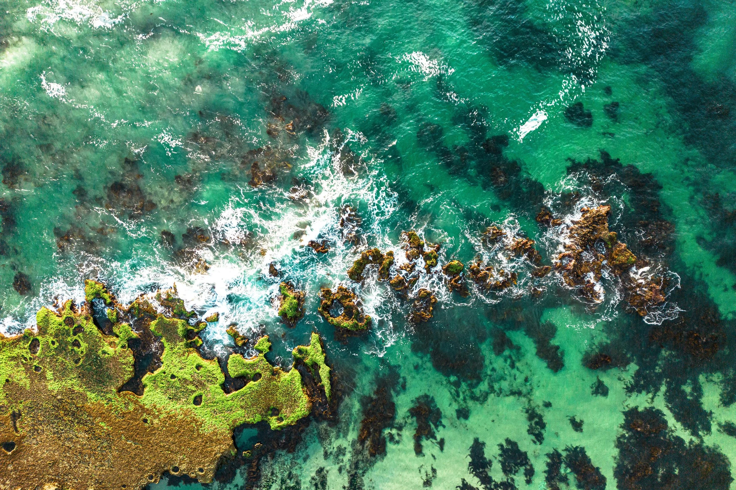 DJI_0203-2 s.jpg
