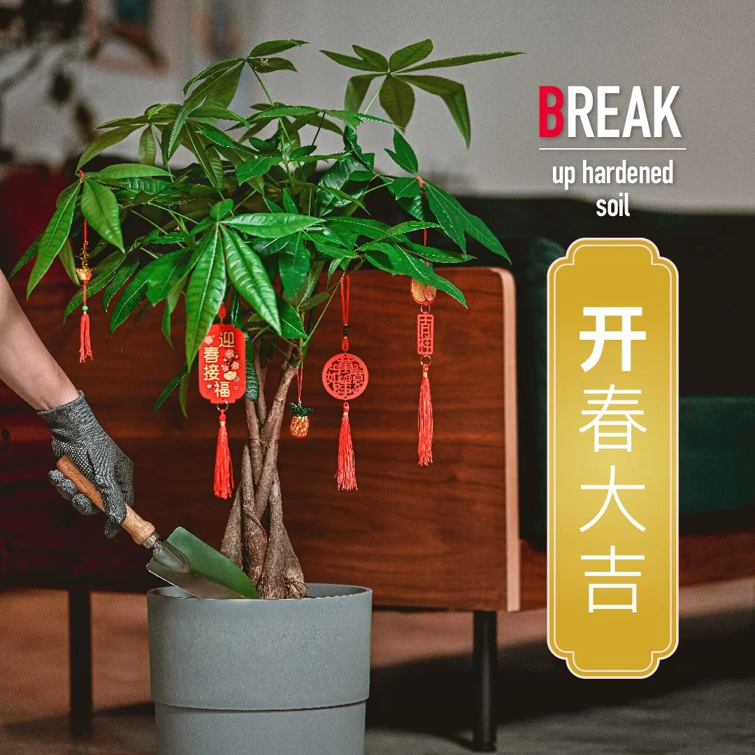 Huat the BLOCK-12.jpg