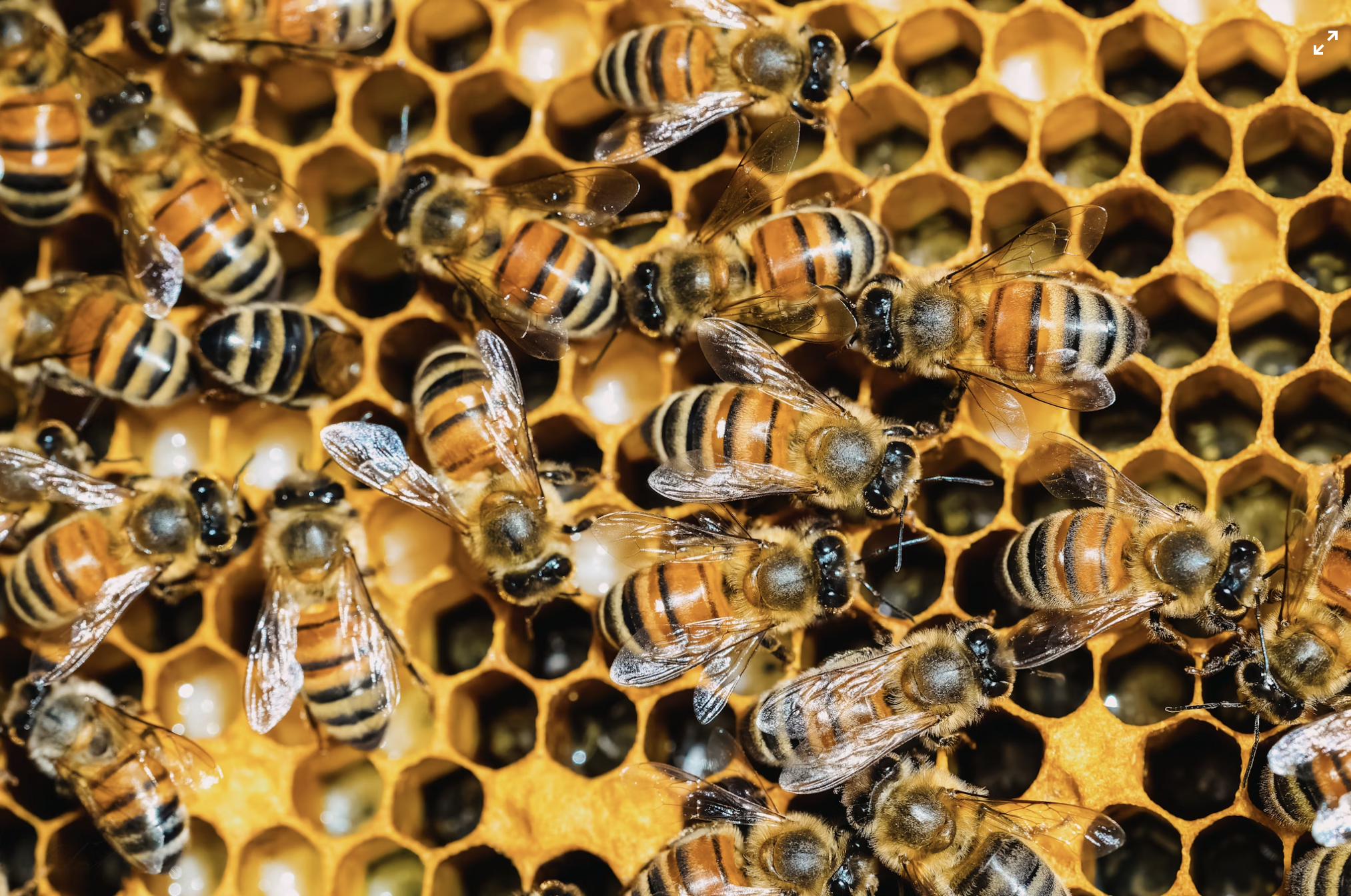 Capture d’écran 2025-10-29 à 08.27.44.png