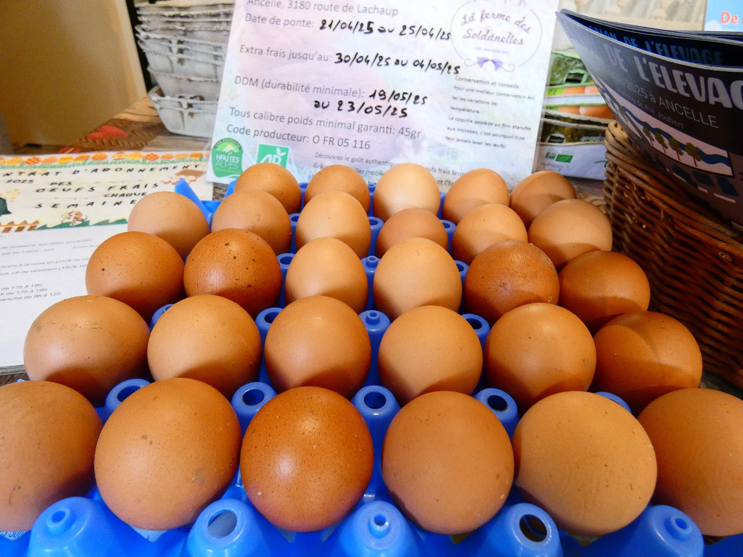 Nos Oeufs