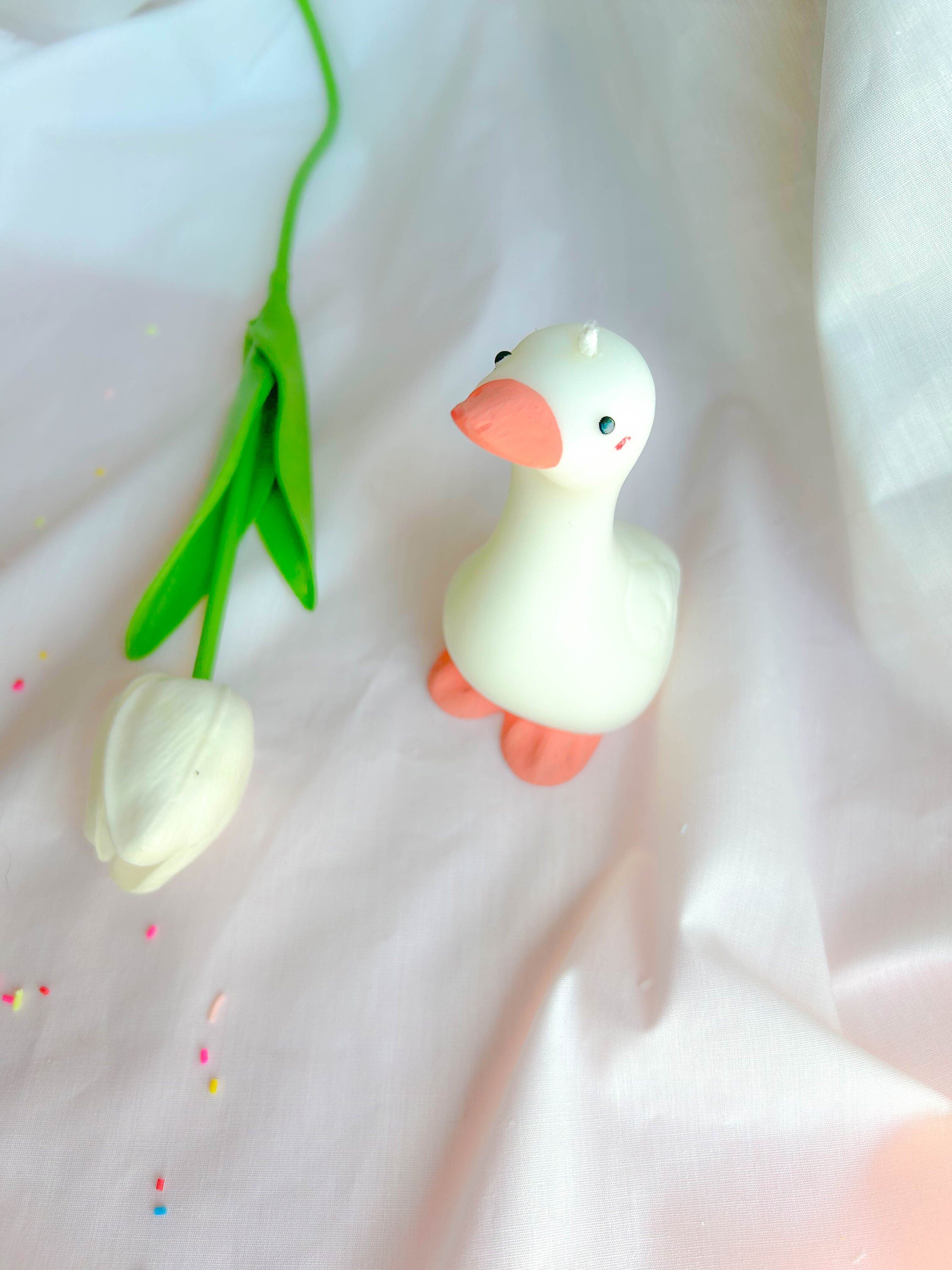 https://i.etsystatic.com/43278351/r/il/aa3bff/6099074984/il_fullxfull.6099074984_bb4w.jpg