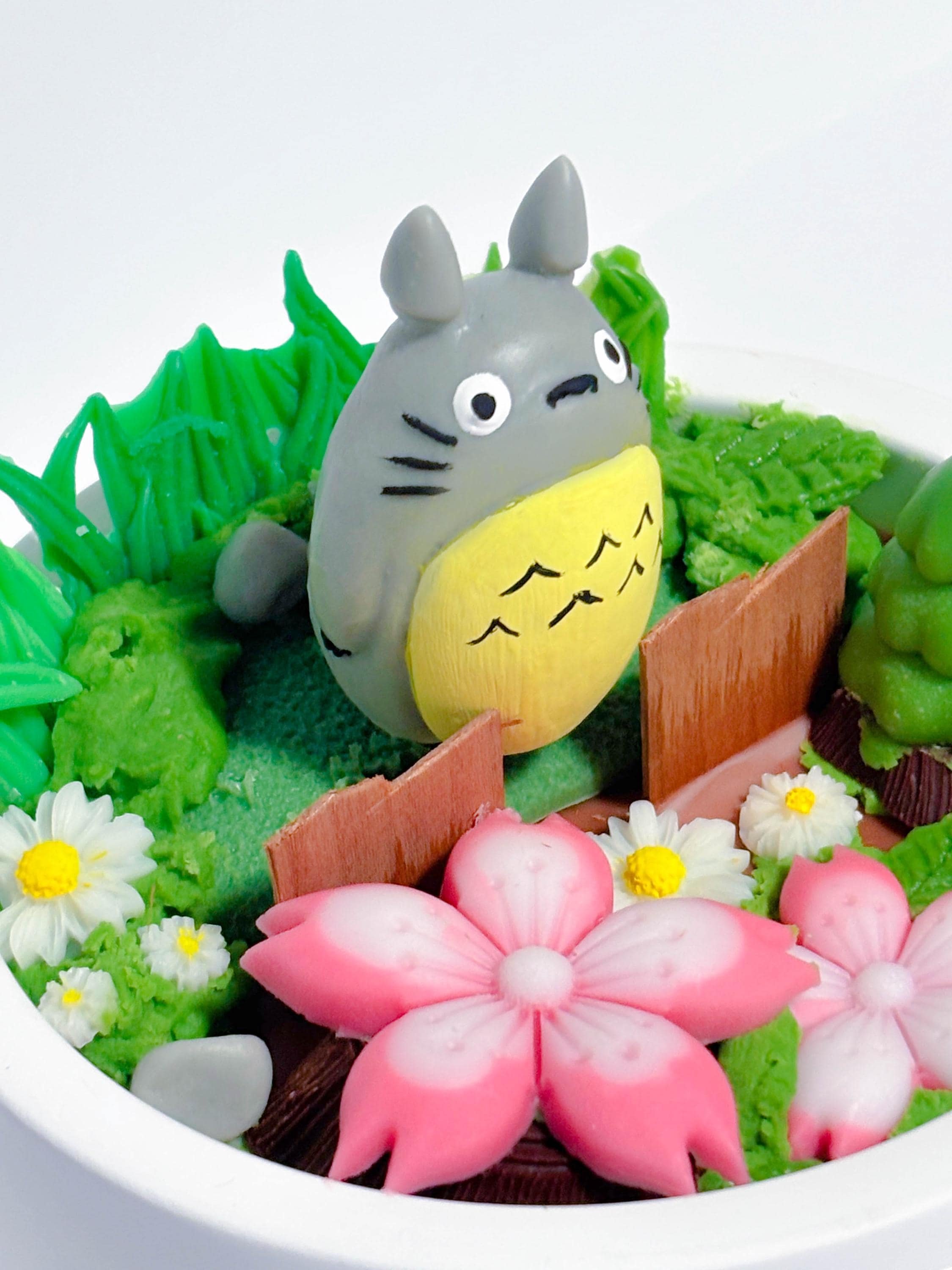 https://i.etsystatic.com/43278351/r/il/8df583/6571467315/il_fullxfull.6571467315_71if.jpg