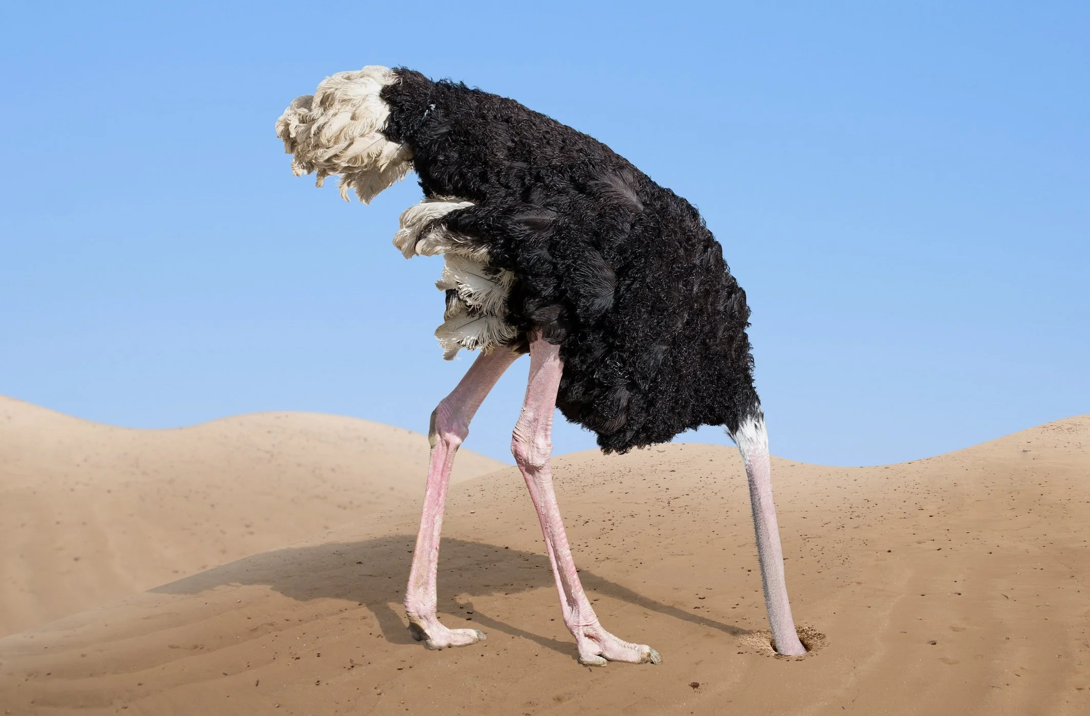 "It Won't Happen to Us" Is Not a Cybersecurity Plan