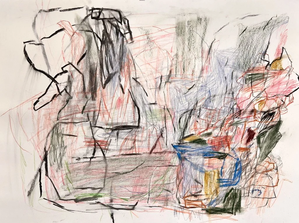 The Metamorphosis of Things, 2023, charcoal, pencil and oil pastel on Arches, 56 x 76cm