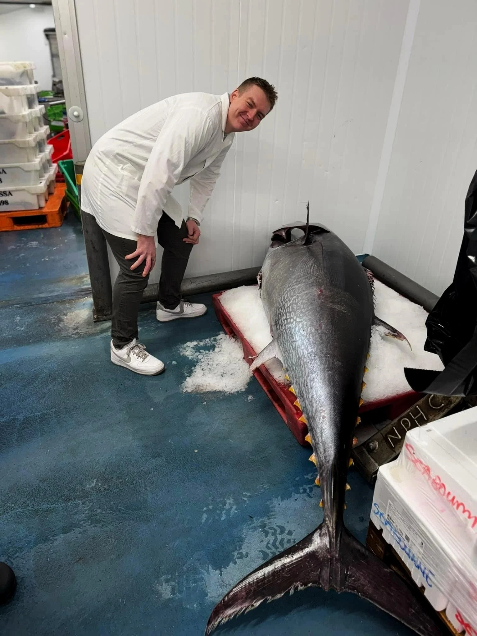 Kieran Bulpit with 300kg Yellowfin Tuna at Newlyn Fish Market