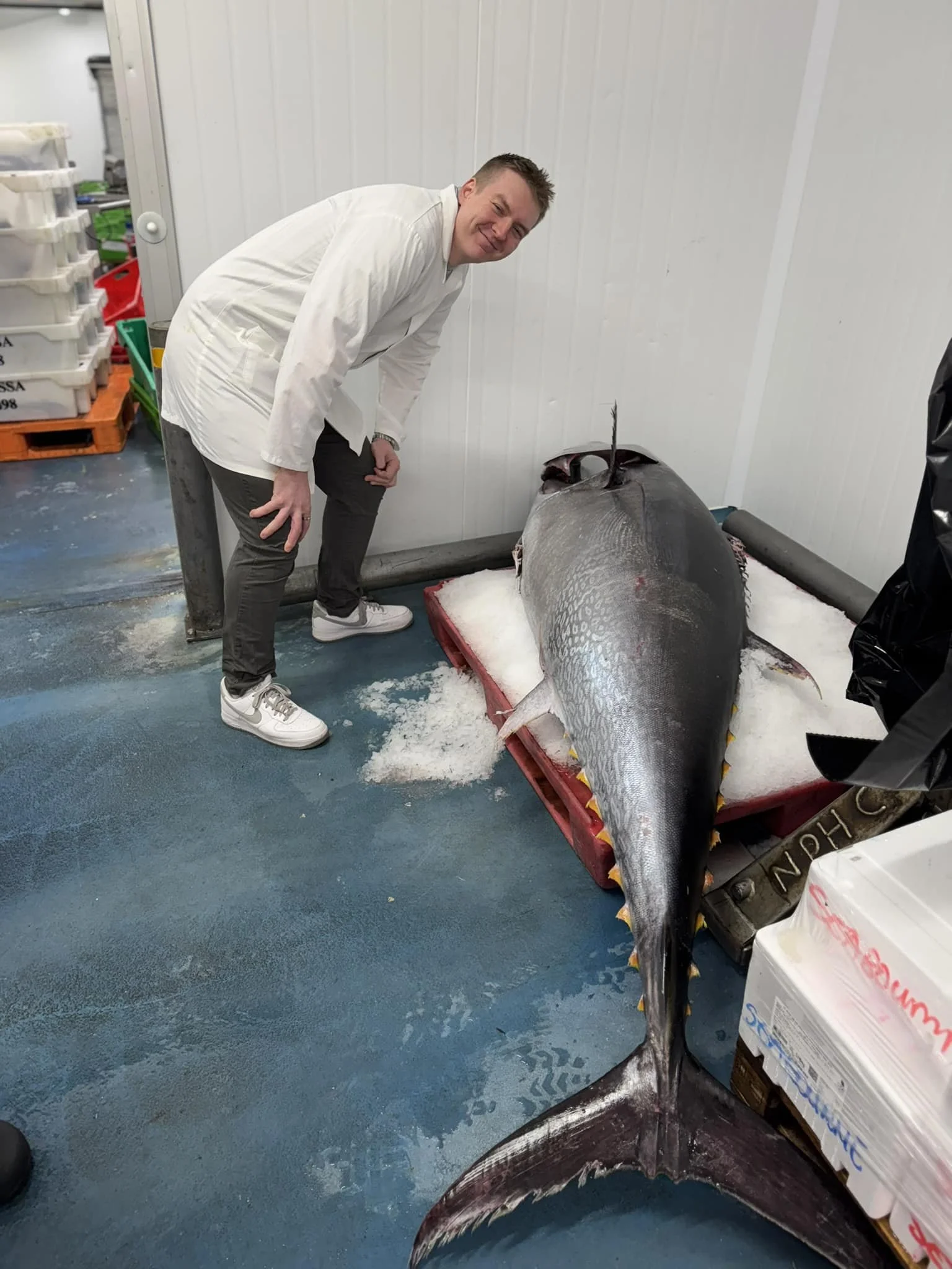 Kieran Bulpit in a white coat posing next to a large tuna on ice in a freezer room at Newlyn Fish Market.