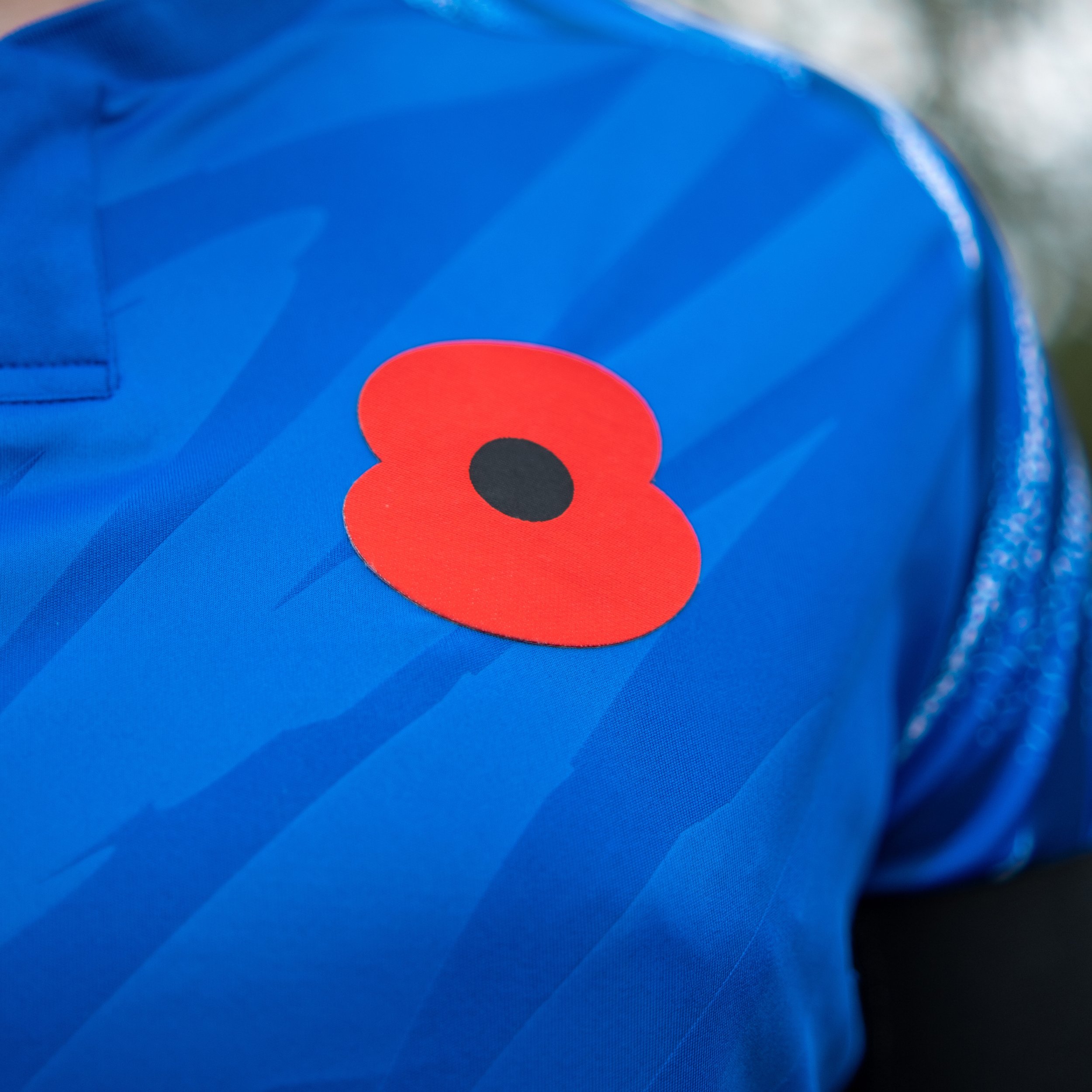 Standard Poppy