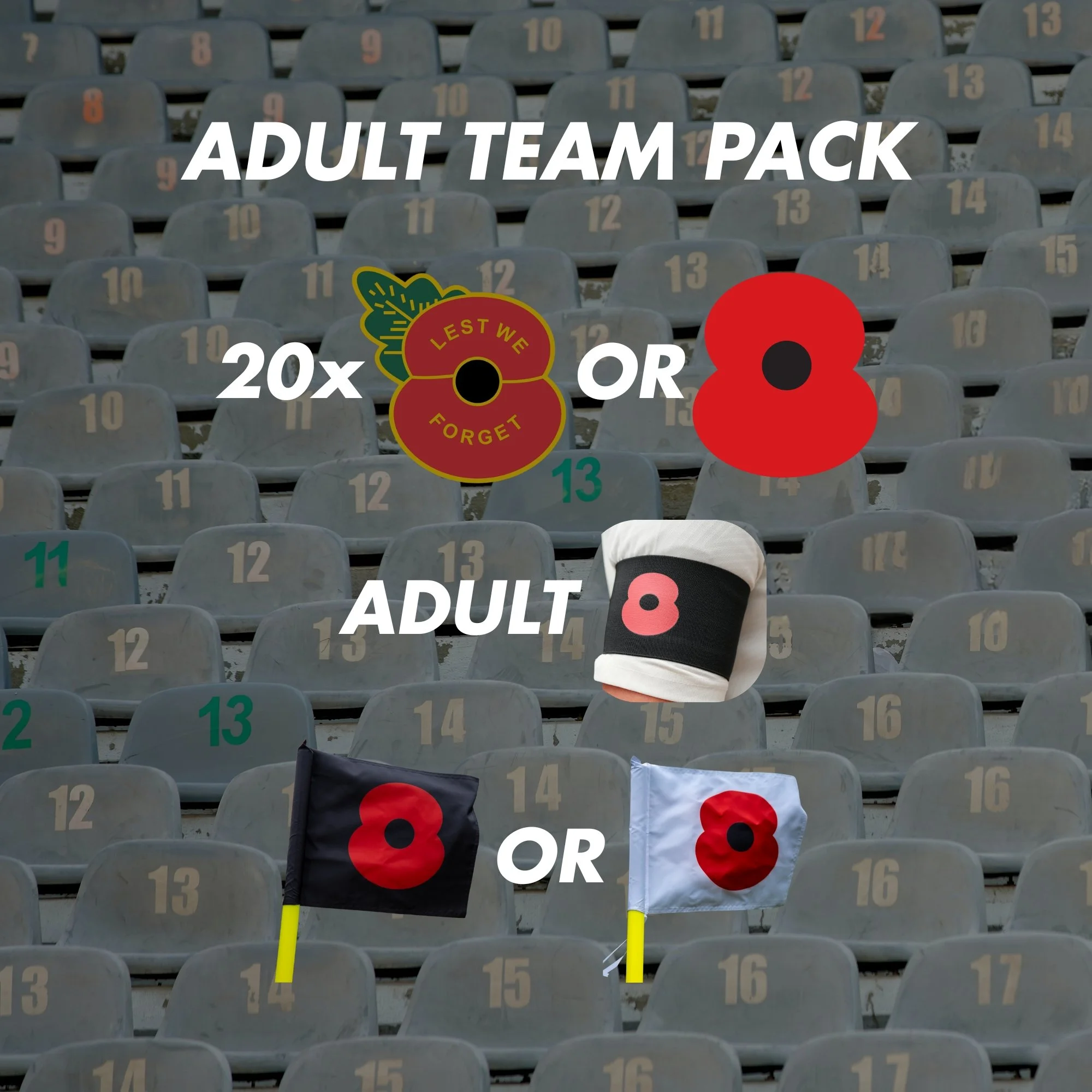 ADULT.jpg (Copy)