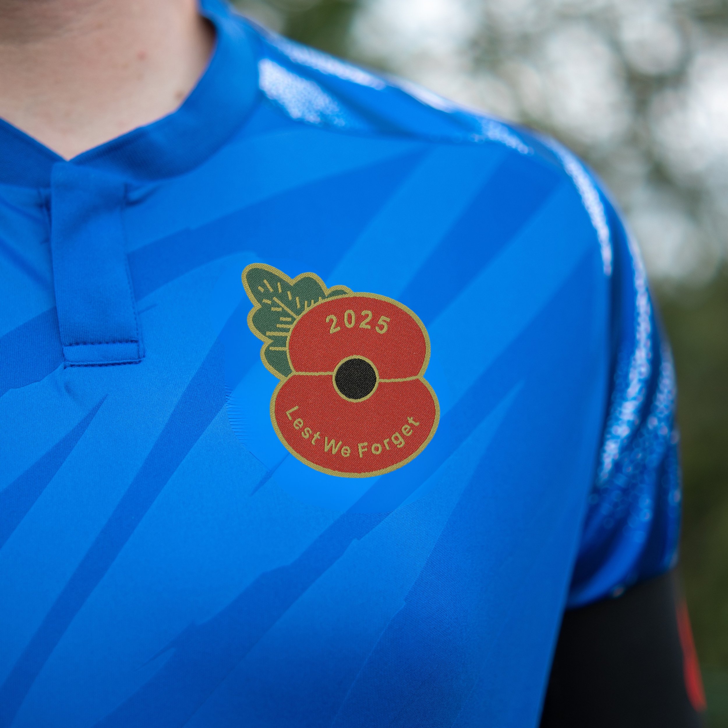Poppies and Flags.jpg