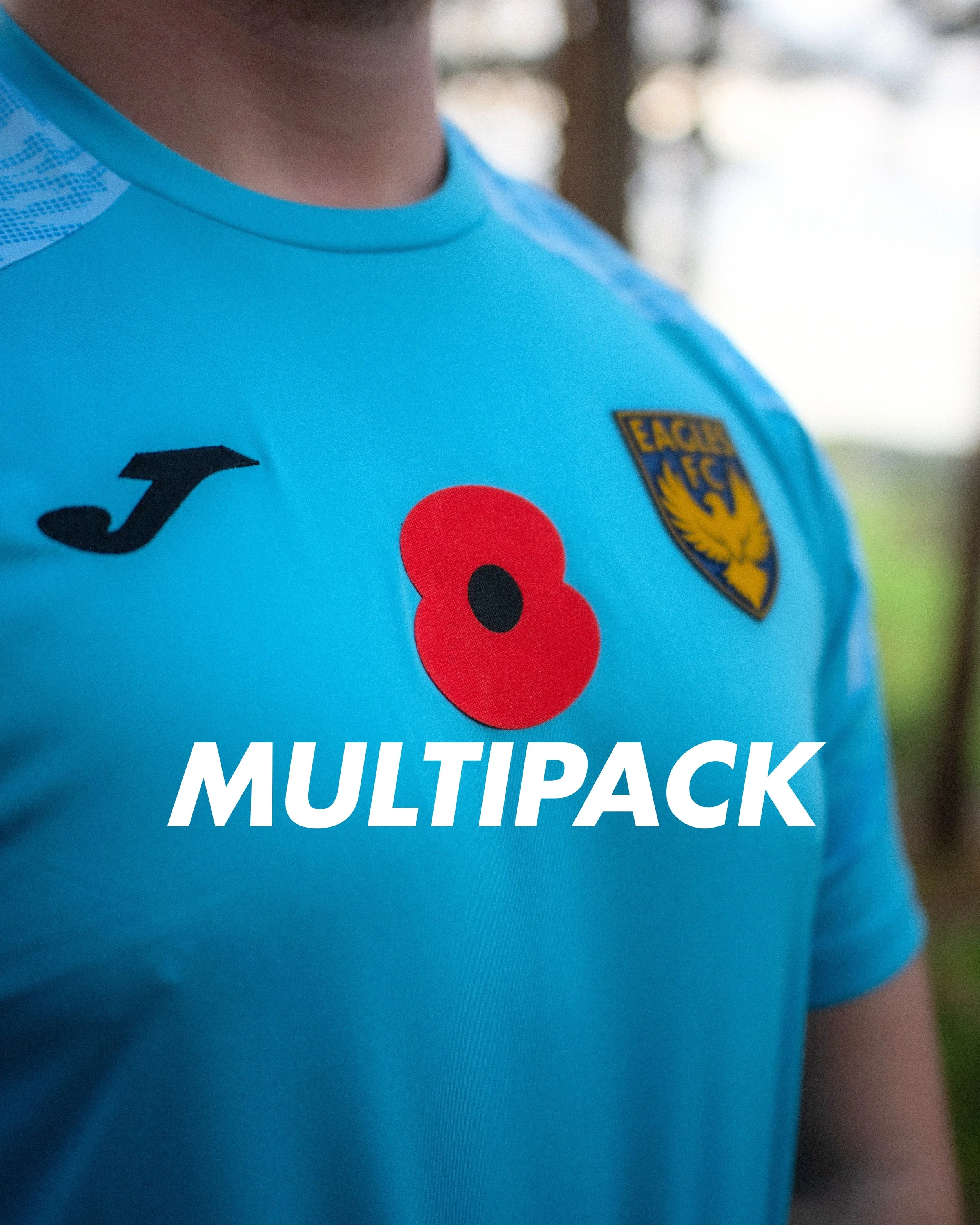 Traditional Poppy - Multipack