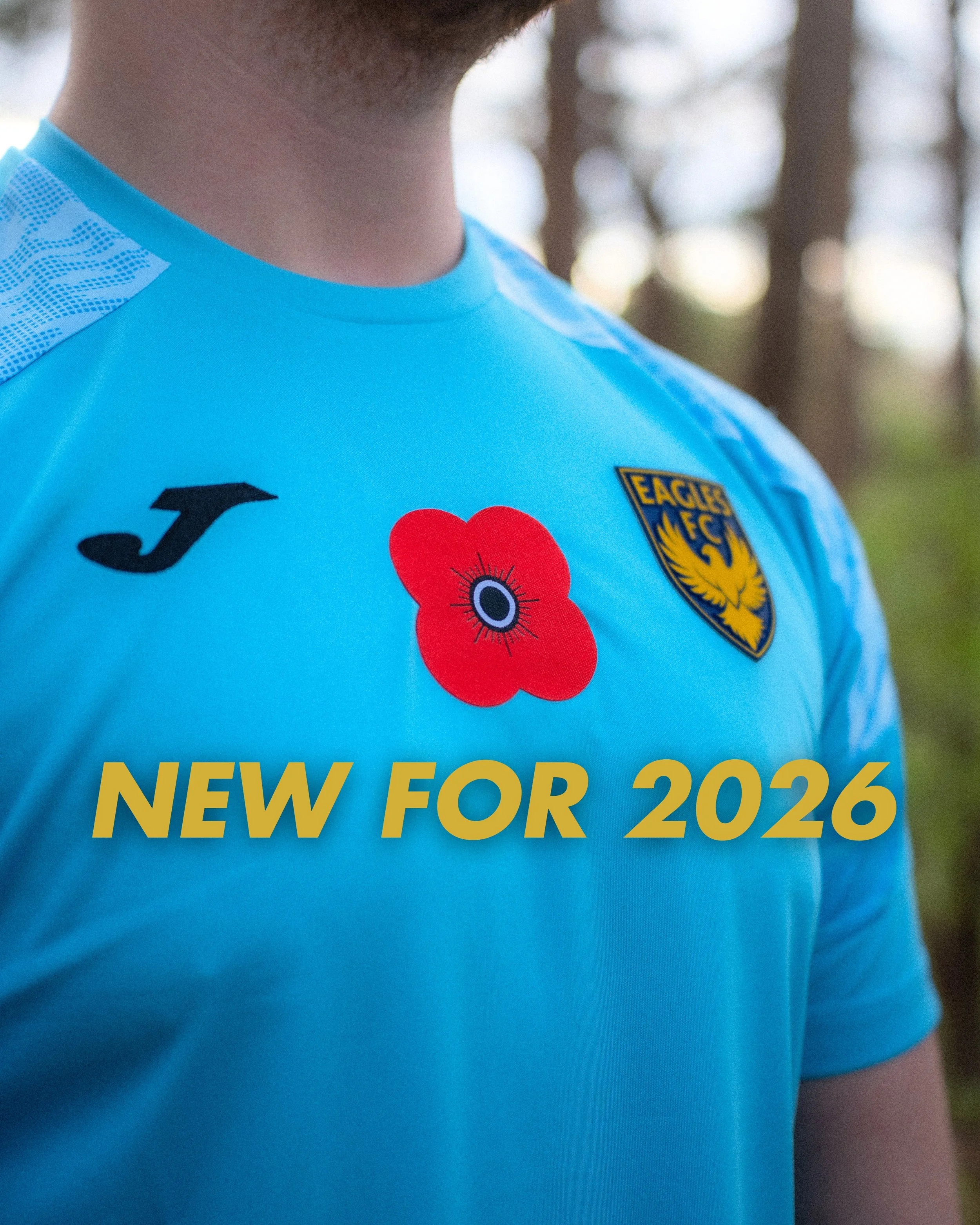 Scottish Poppy