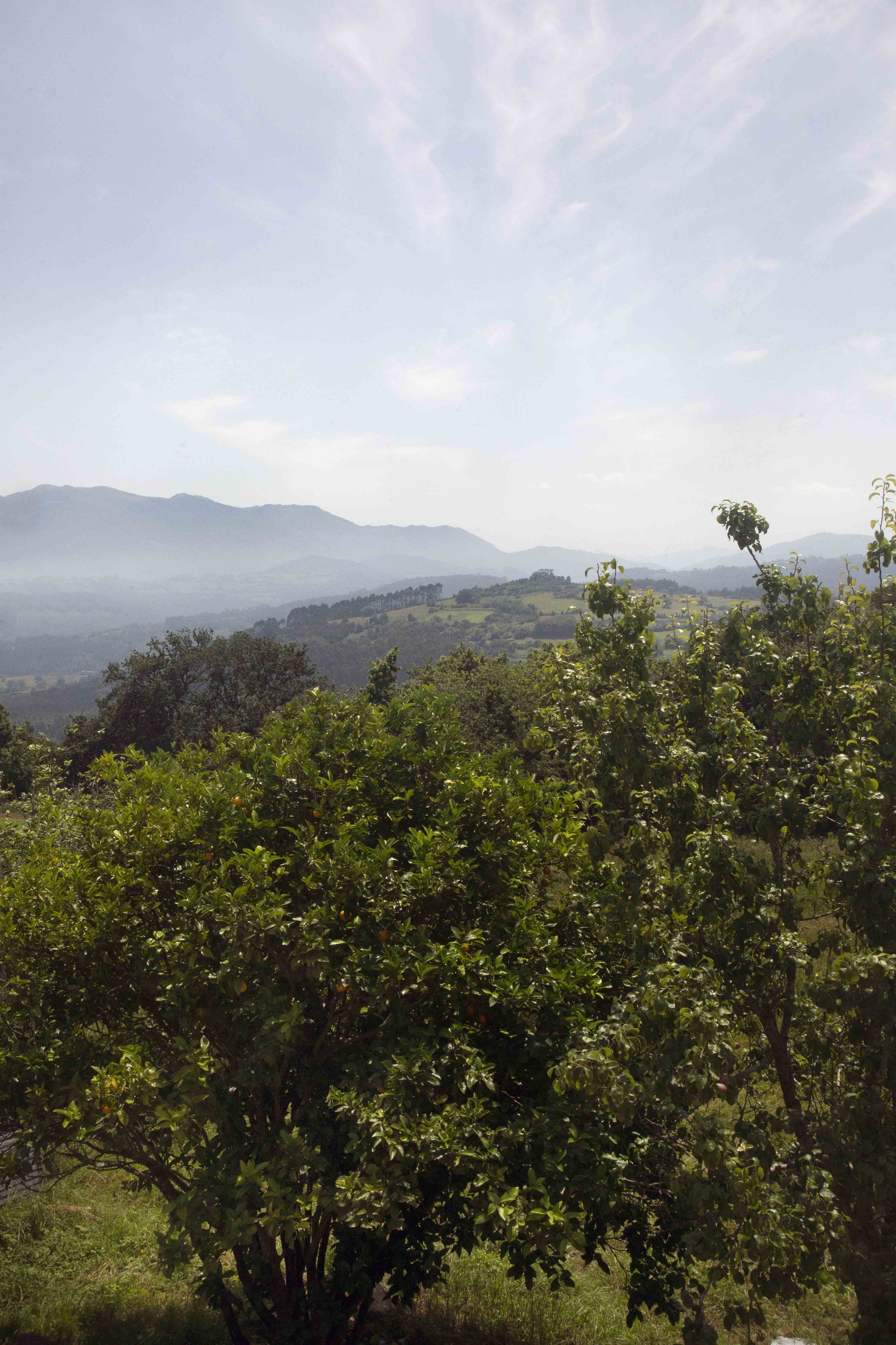 Private Field Views to Sueve Mountains from Bedroom