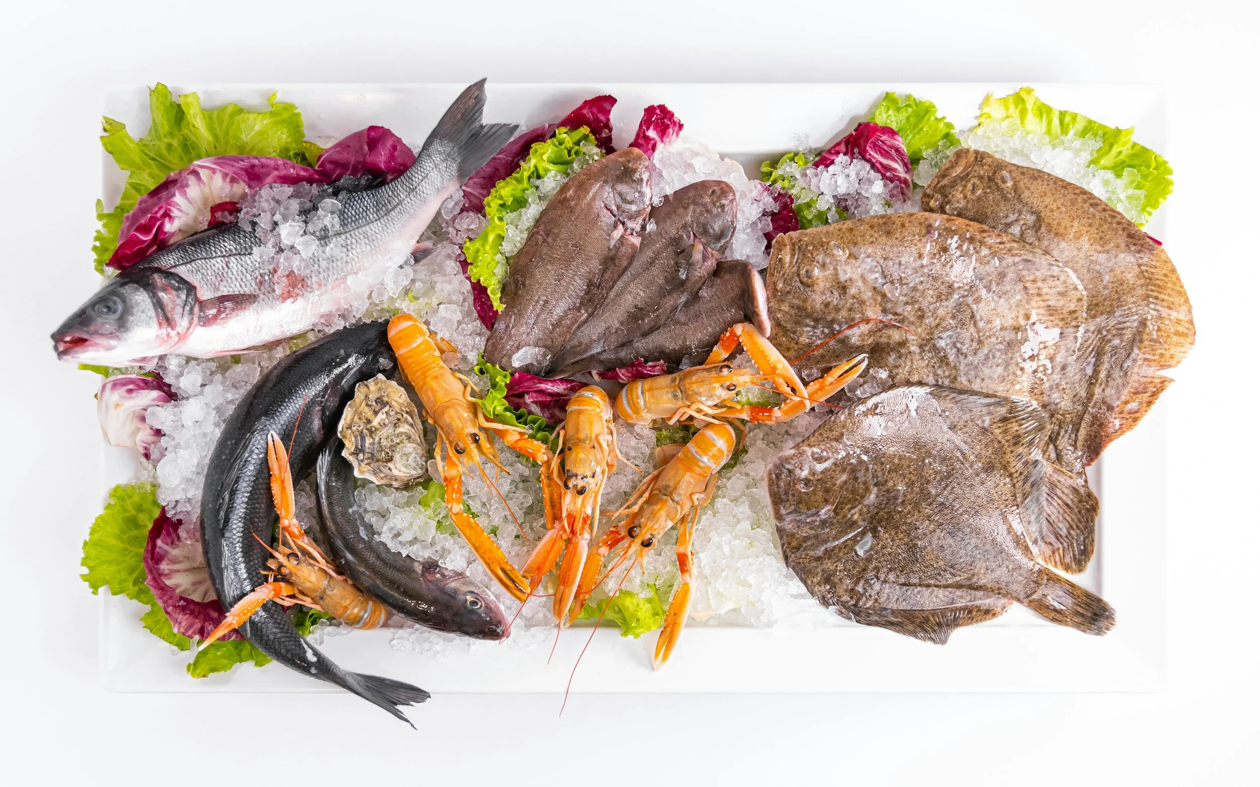 Fresh Fish Delivery from Llastres