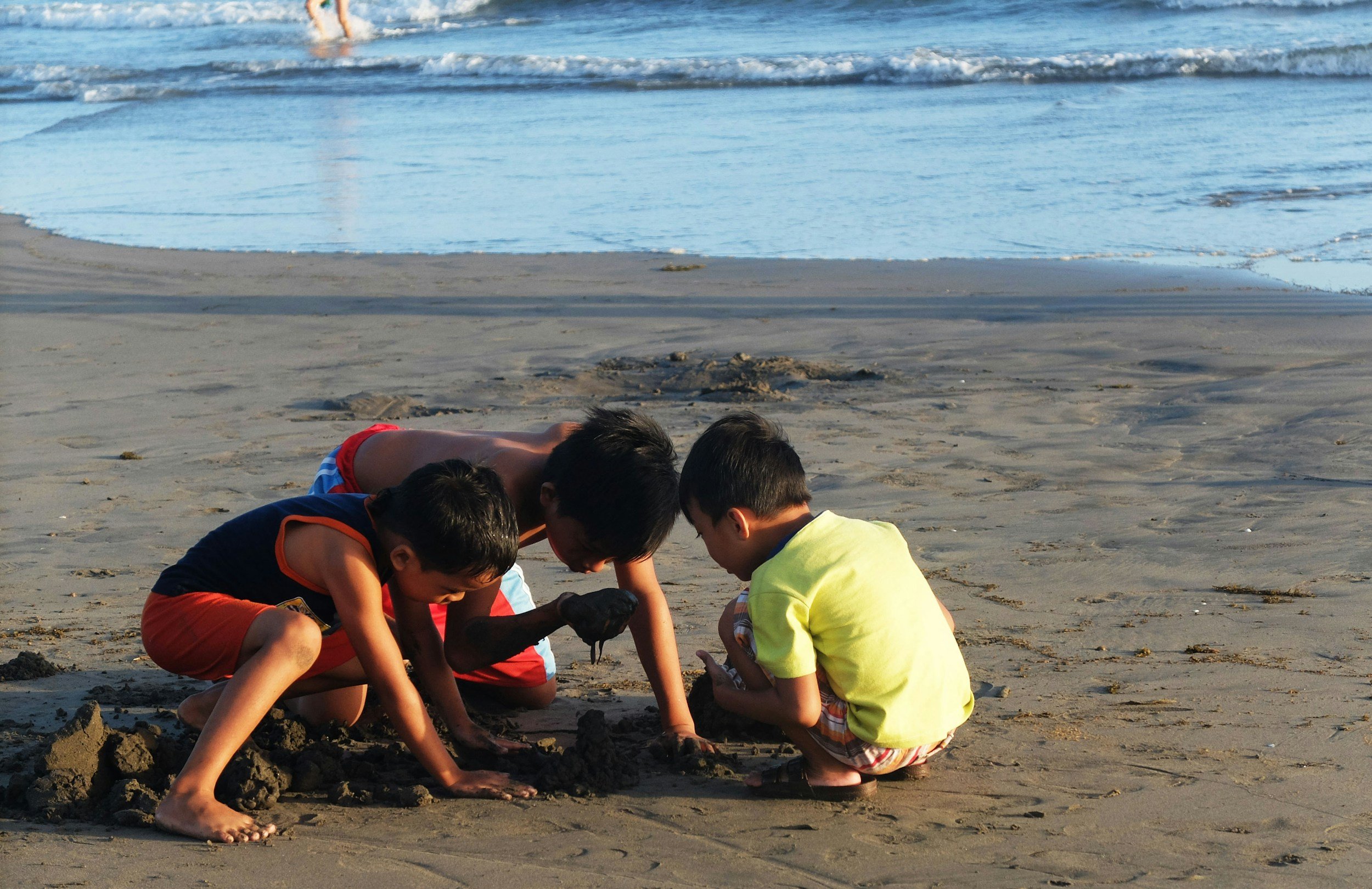 Children exploring the beach for fossils