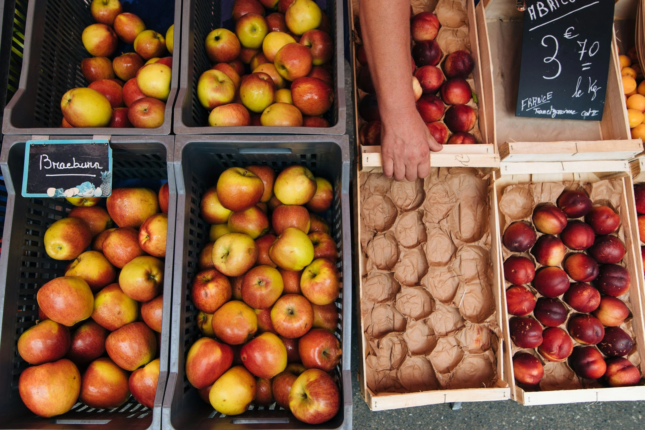 Organic Food in Asturias: Finding the Hidden Gems