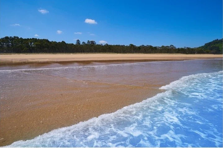 Asturias Vacations golden sand beach Rodiles Playa