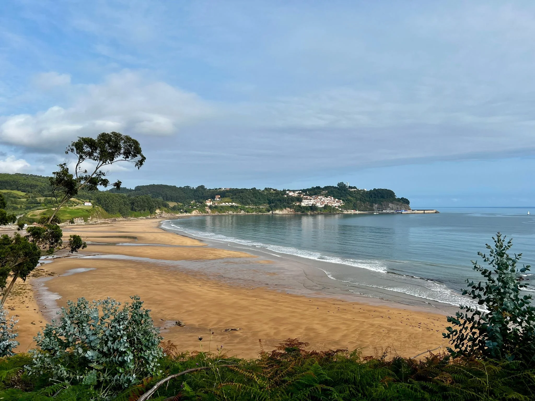 Playa La Greiga