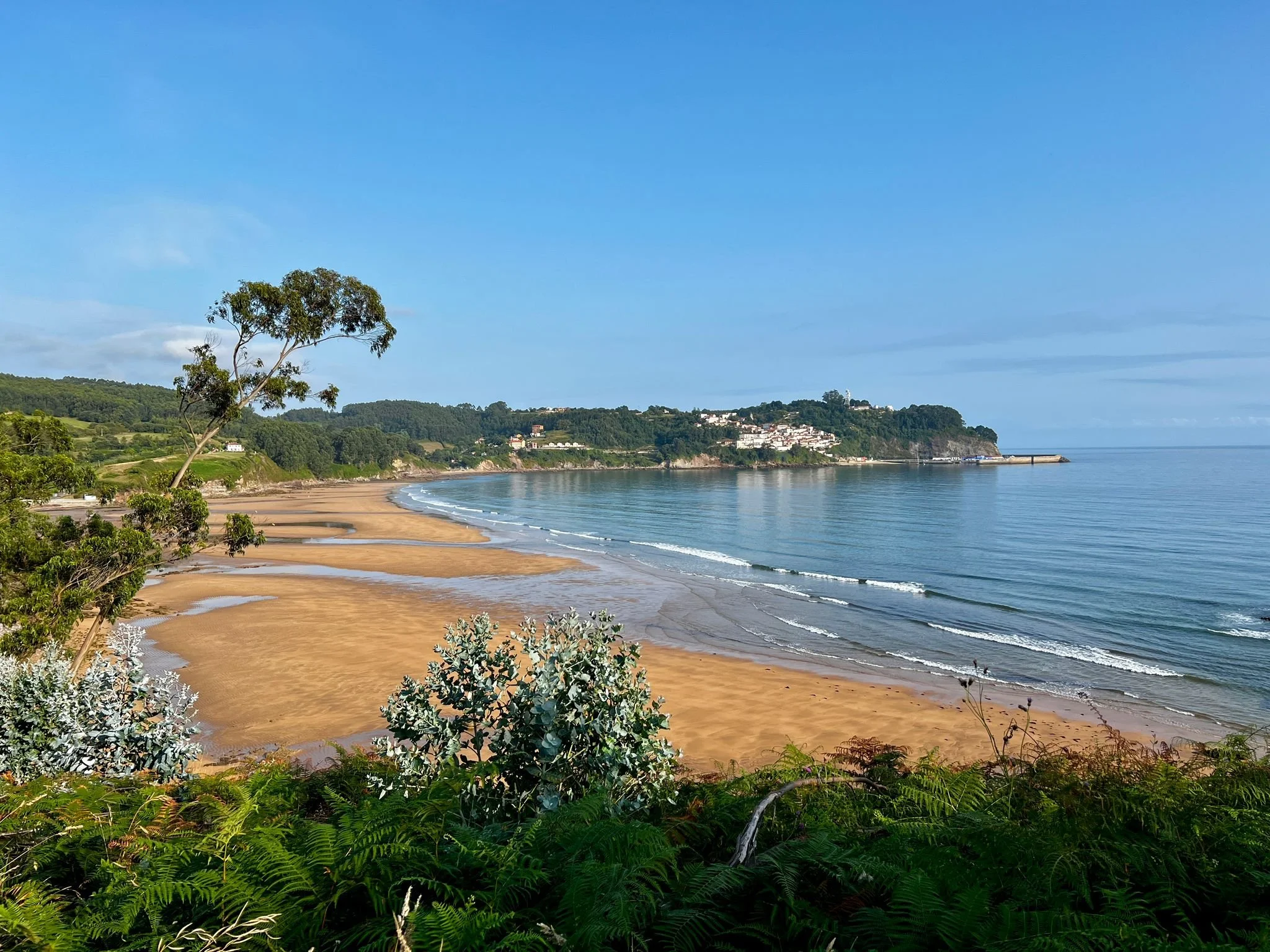 Coastal Path to La Griega
