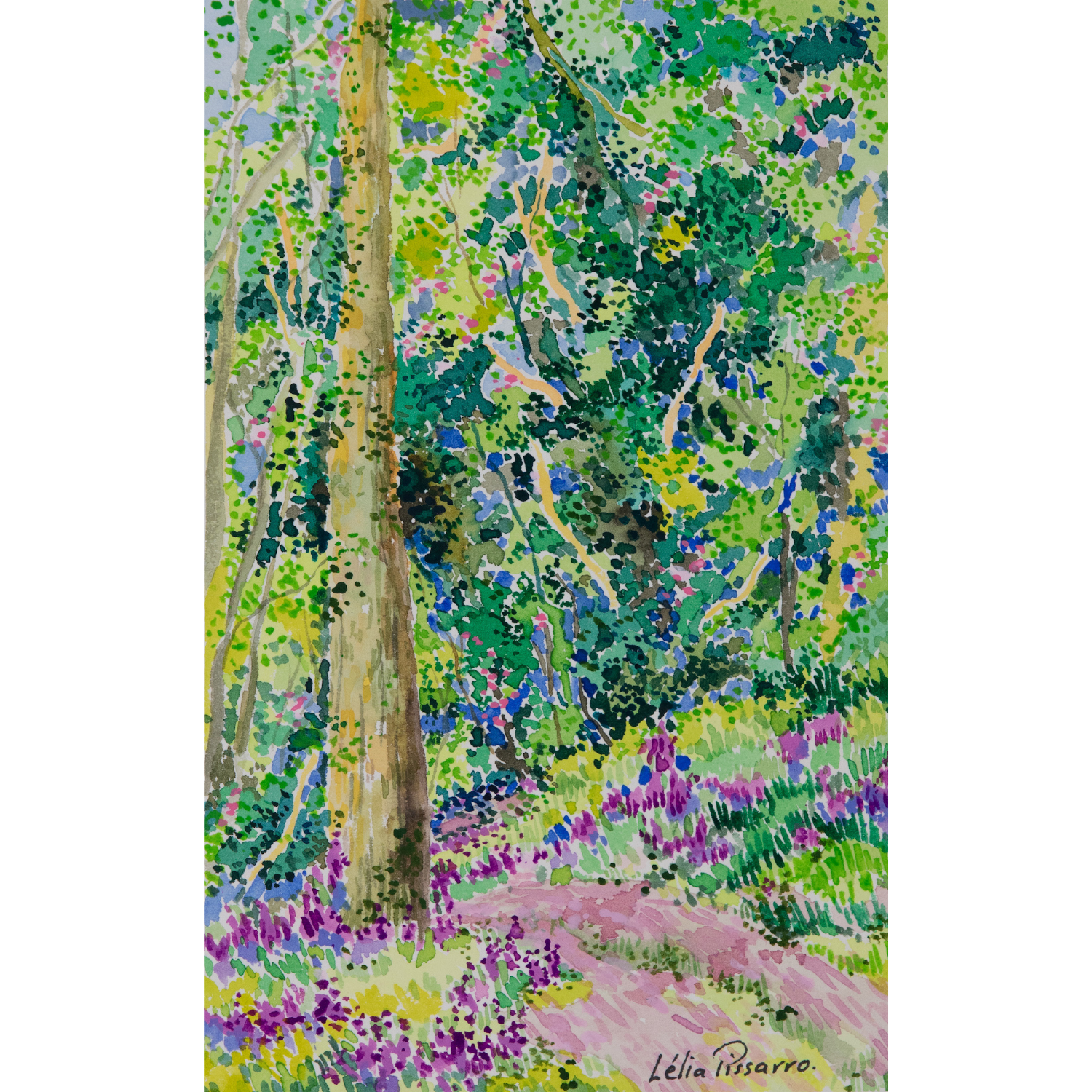 Le chemin de Claire Chase