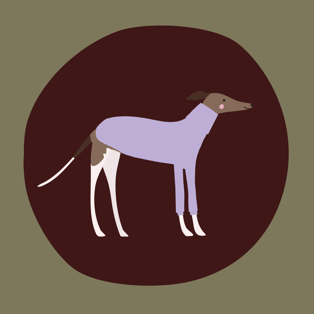 bianca-cash-homepage-sunday-pet-jumpers.gif