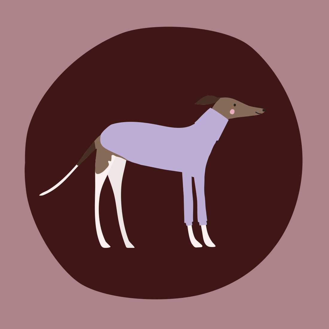bianca-cash-homepage-sunday-pet-jumpers_v2.gif