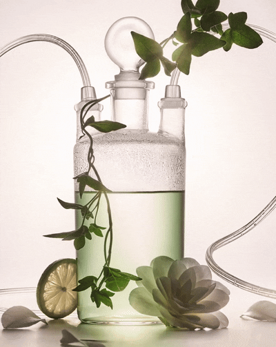 A glass container with tubes connected to it, filled with water and eucalyptus leaves, surrounded by a lemon slice, a succulent plant, and white flower petals.