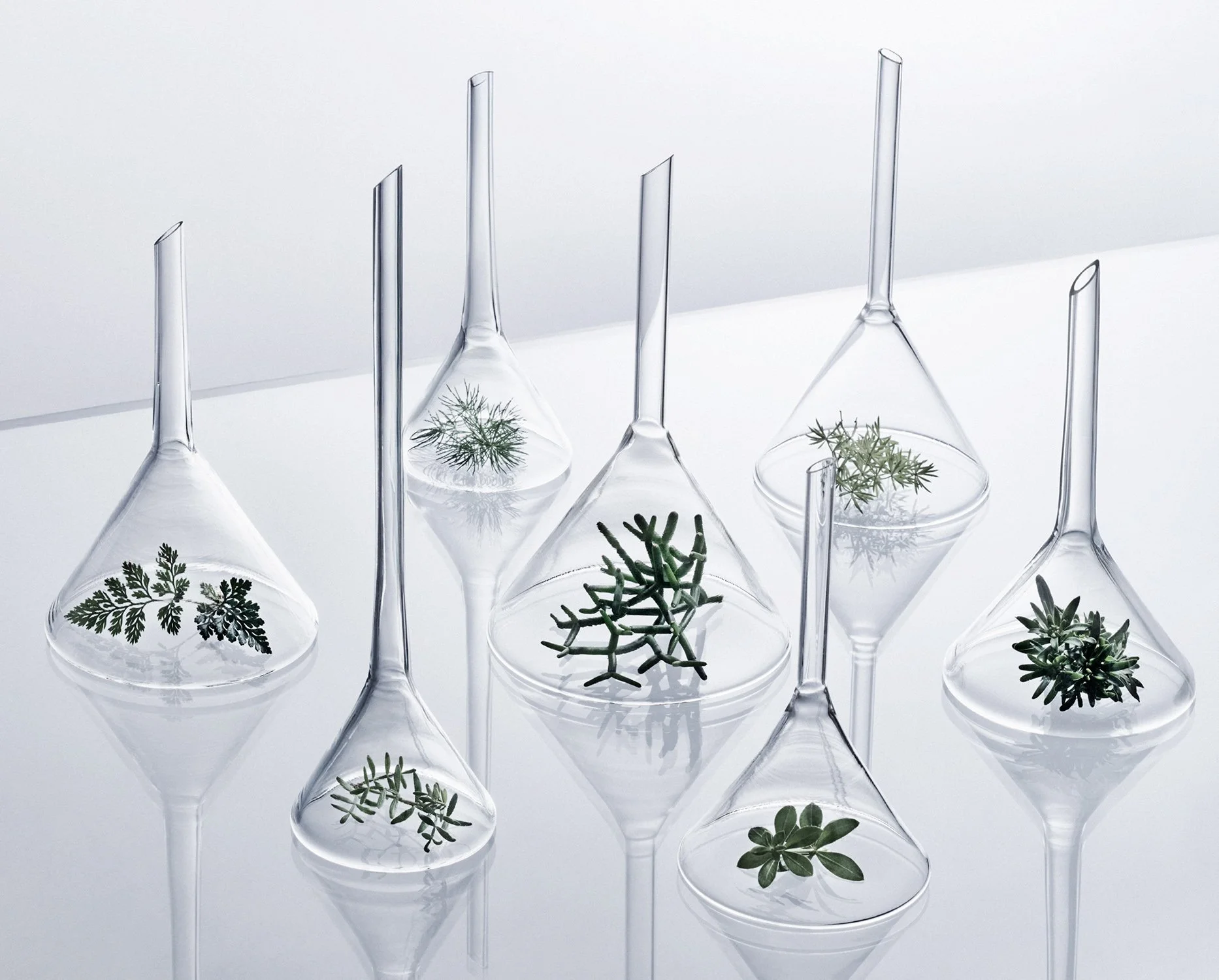 LABORATORY FUNNEL