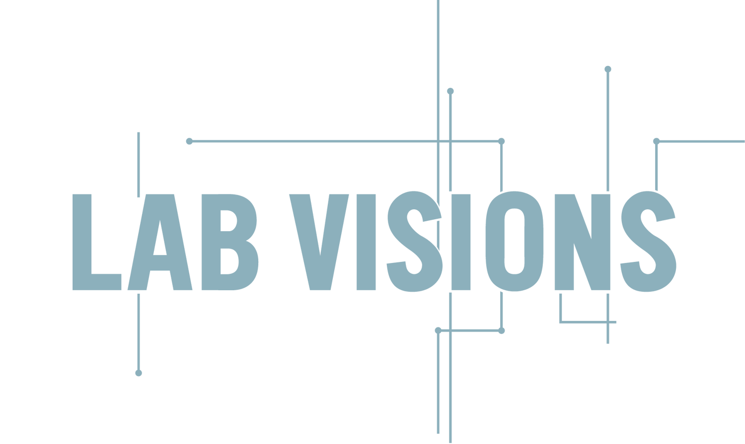 LABVISION