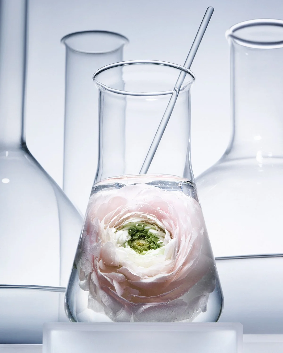 A glass laboratory beaker filled with water, containing a large pink flower with white petals and a green center, surrounded by empty glass lab flasks.