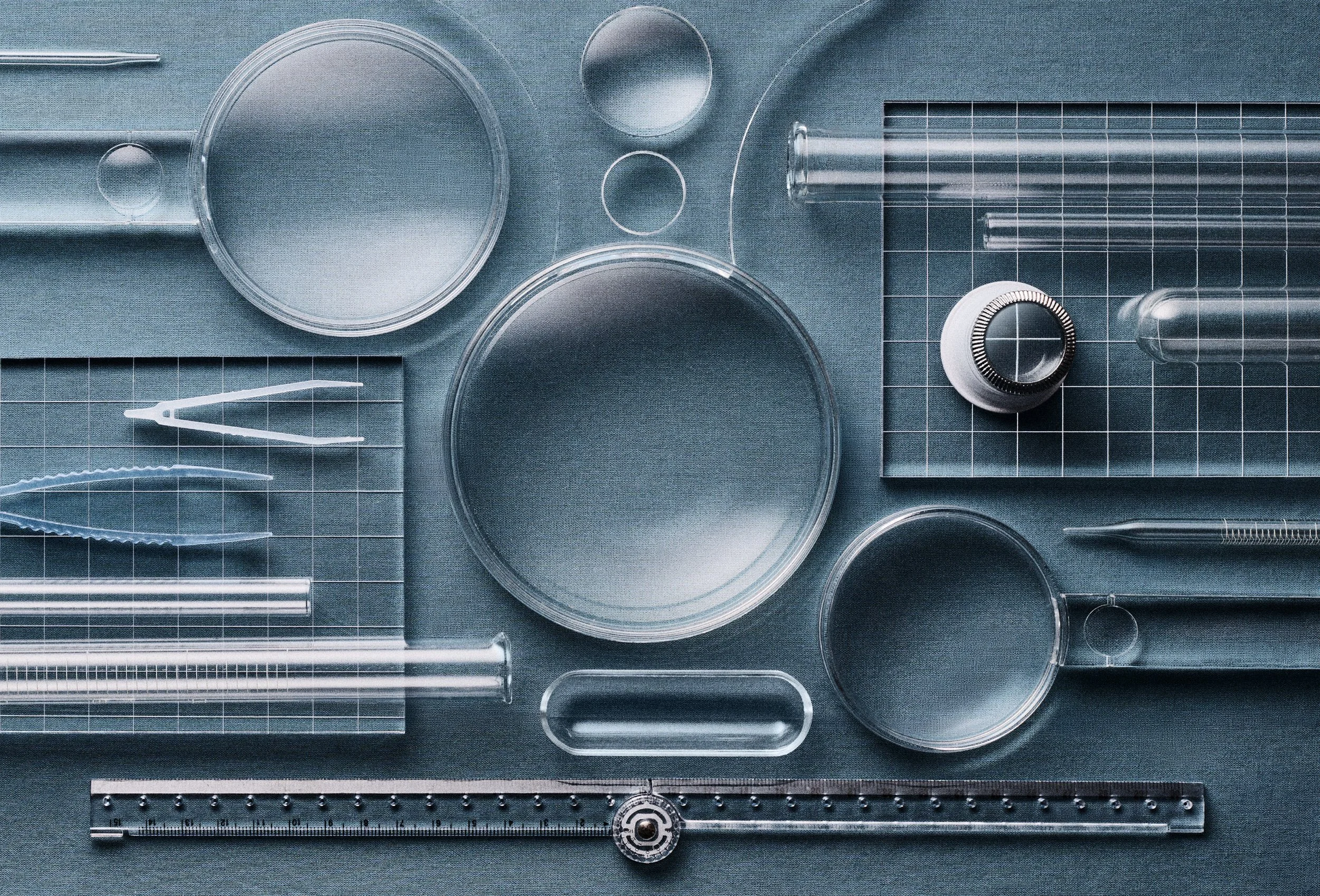 A top-down view of various transparent laboratory glassware and tools including petri dishes, test tubes, a graduated cylinder, a pipette, tweezers, a ruler, and a grid surface.
