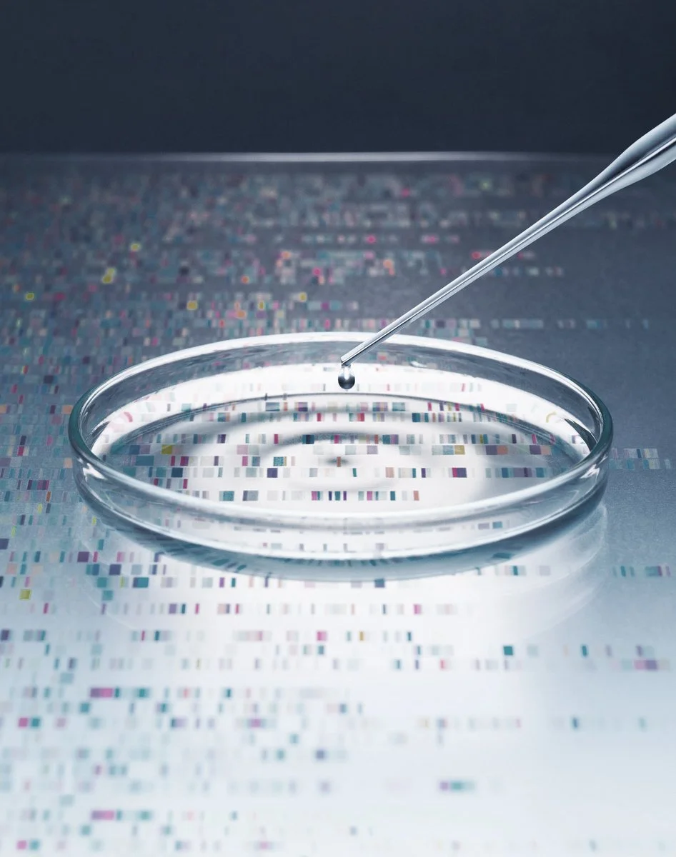 PETRI DISHES