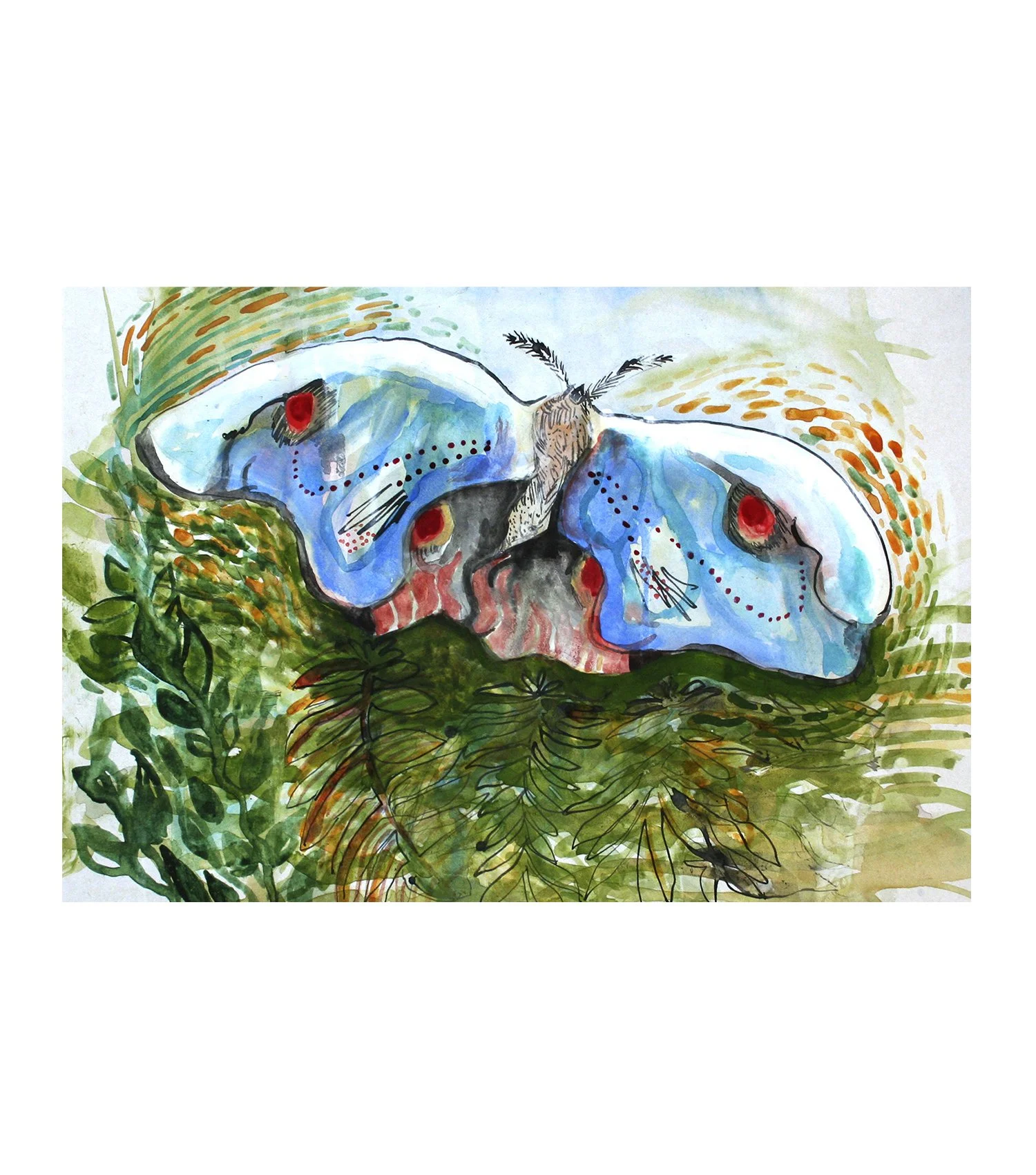 blue moth new copy.jpg