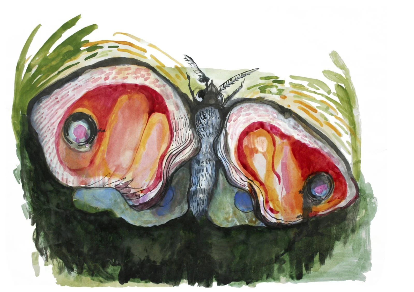 Painting of the moth with the red wings on a dark green background